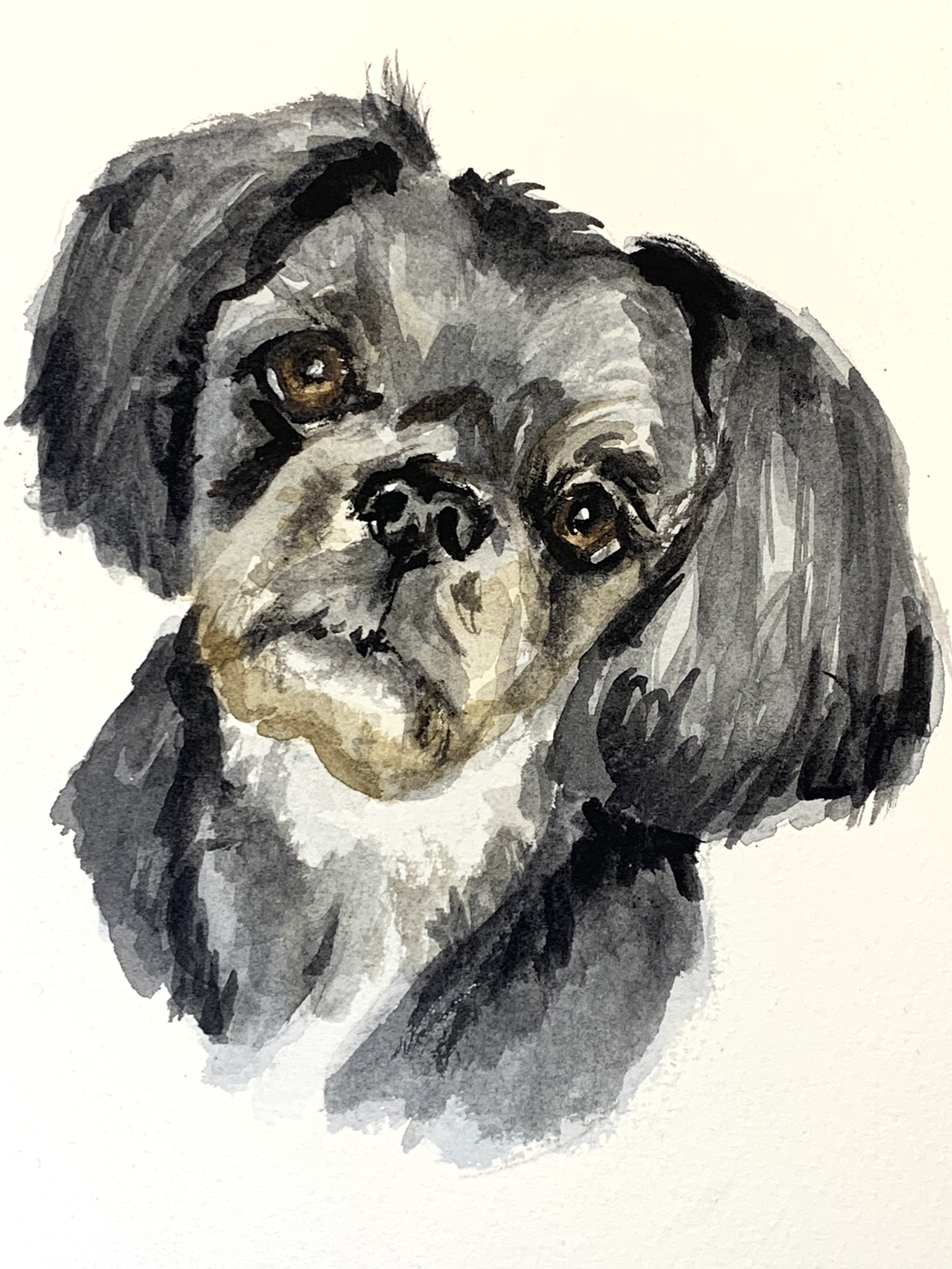 Watercolor painting of a small dog, possibly a Cocker Spaniel, with long ears and expressive brown eyes.