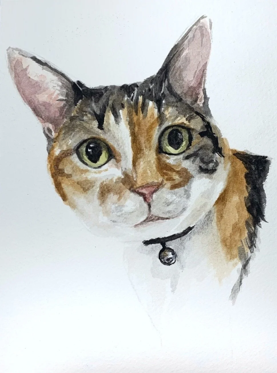 Watercolor painting of a domestic cat with green eyes, wearing a black collar with a bell.