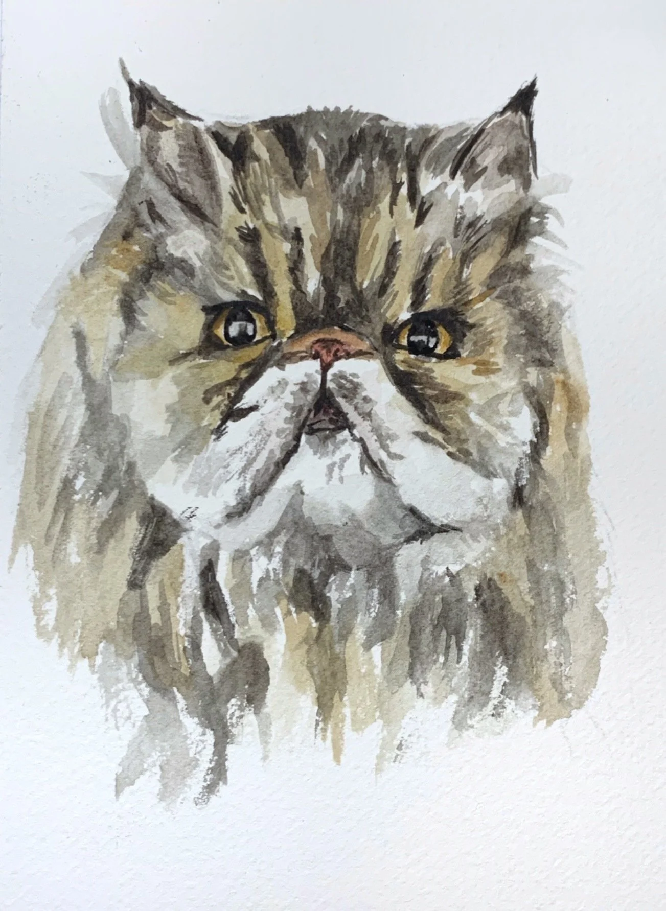 Watercolor painting of a grumpy-looking short nosed cat with a mix of brown, white, and black fur.
