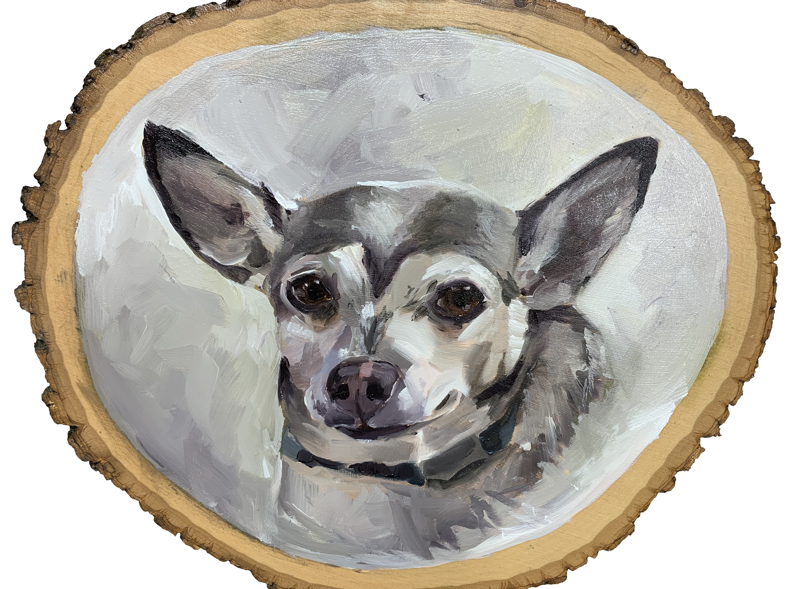 Painted portrait of a Chihuahua dog with big ears, with a light grey background, on a circular wooden surface.