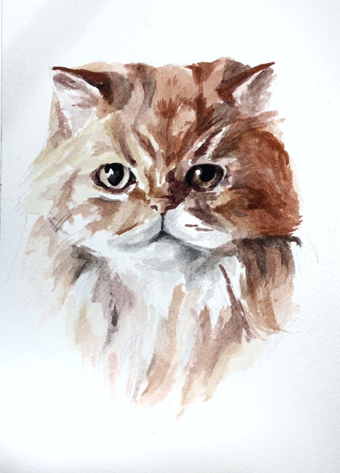 Watercolor portrait of a fluffy, two-toned cat with green eyes and a serious expression against a white background.