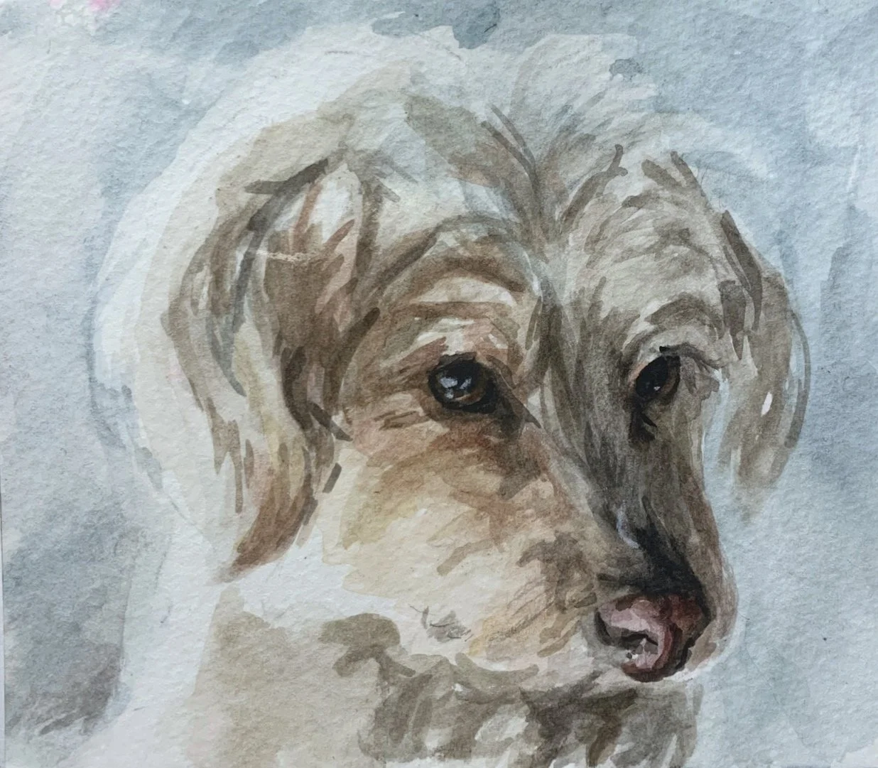 Watercolor painting of a dog, focusing on the face with floppy ears and brown eyes.