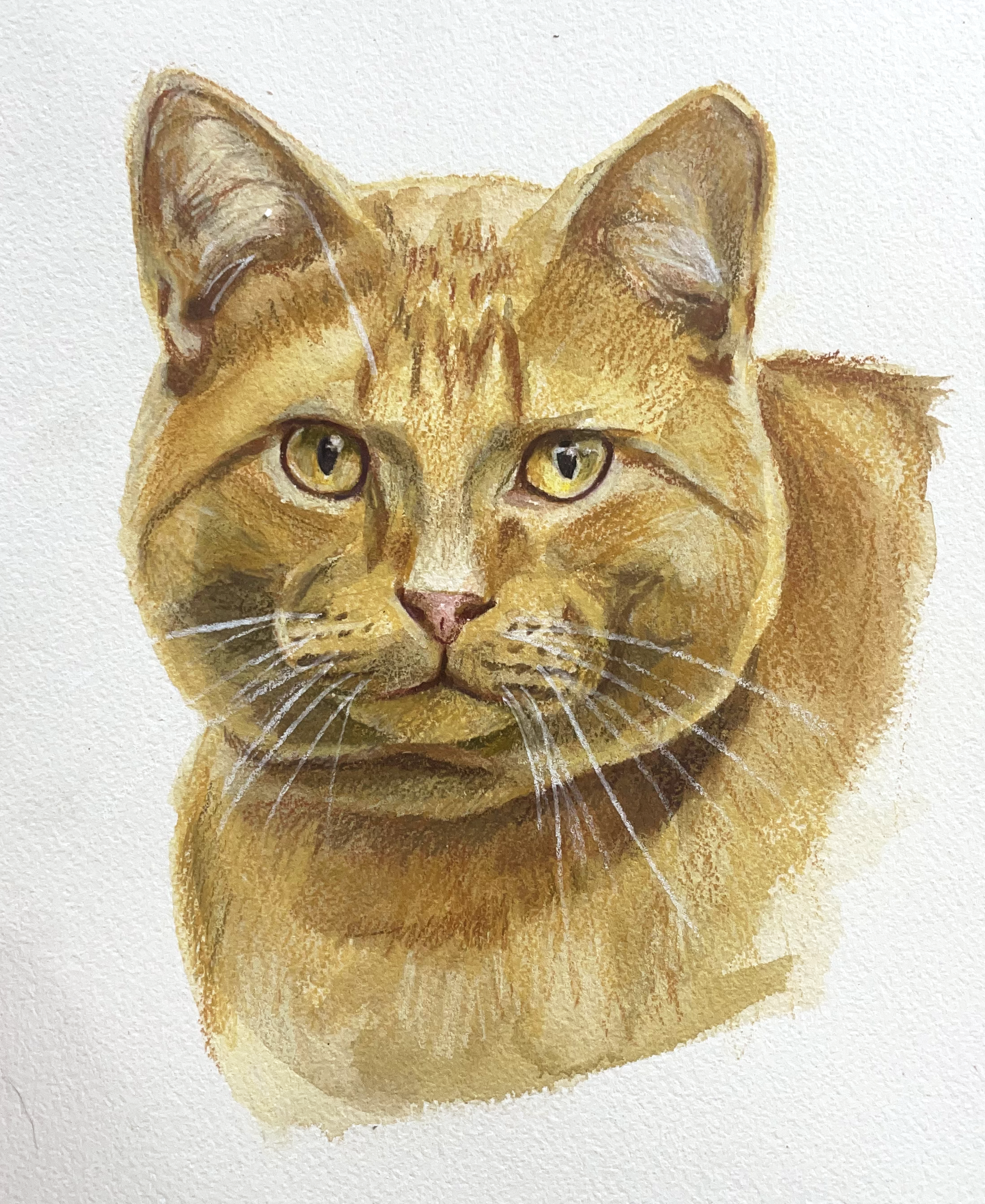 Watercolor painting of a tabby cat's face with yellow eyes on a white background.