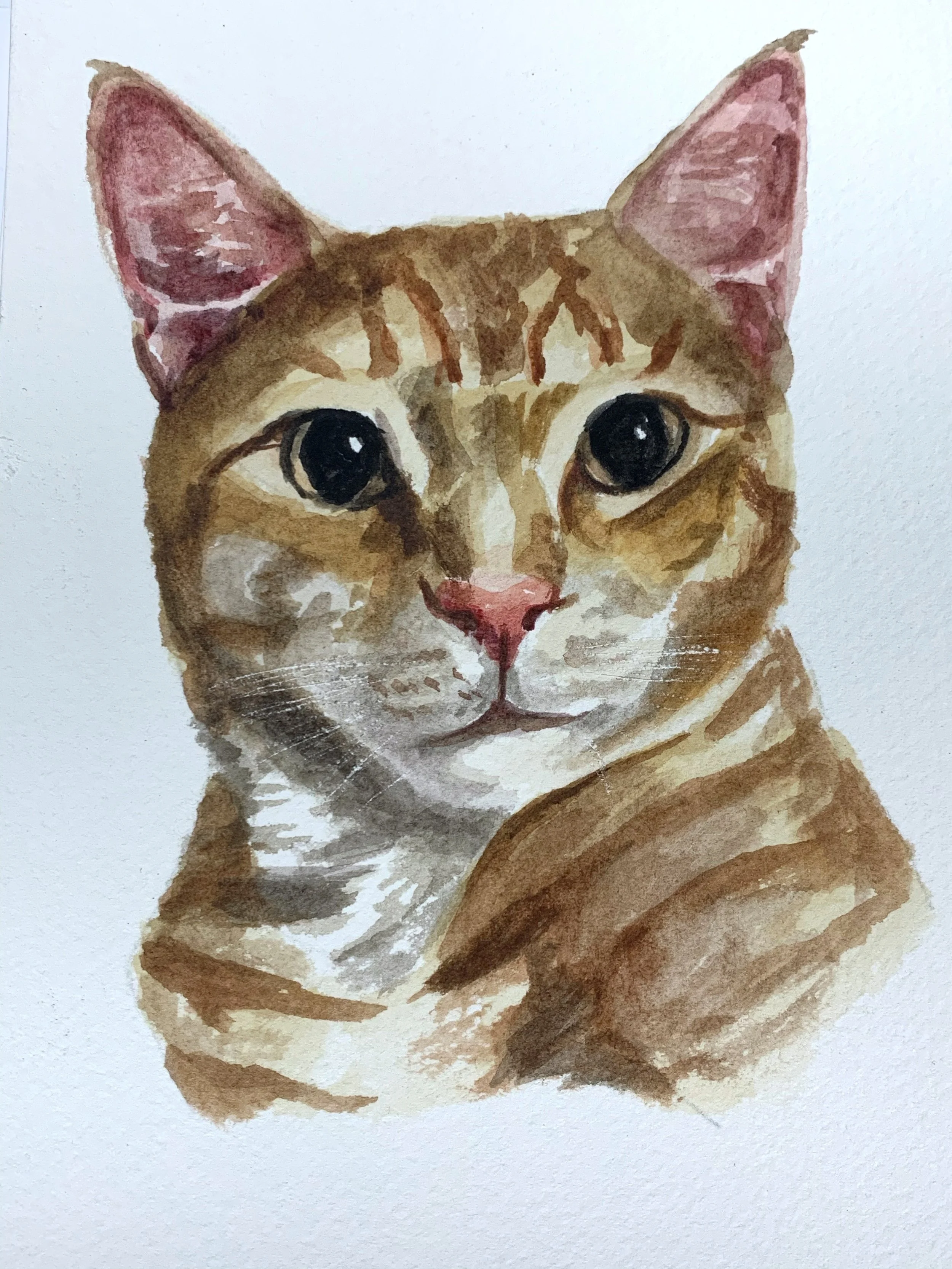Watercolor painting of an orange tabby cat with green eyes and pink nose.