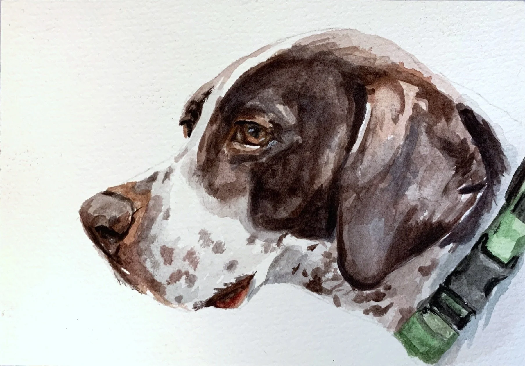 Watercolor painting of a dog's head with a green collar, facing to the left.