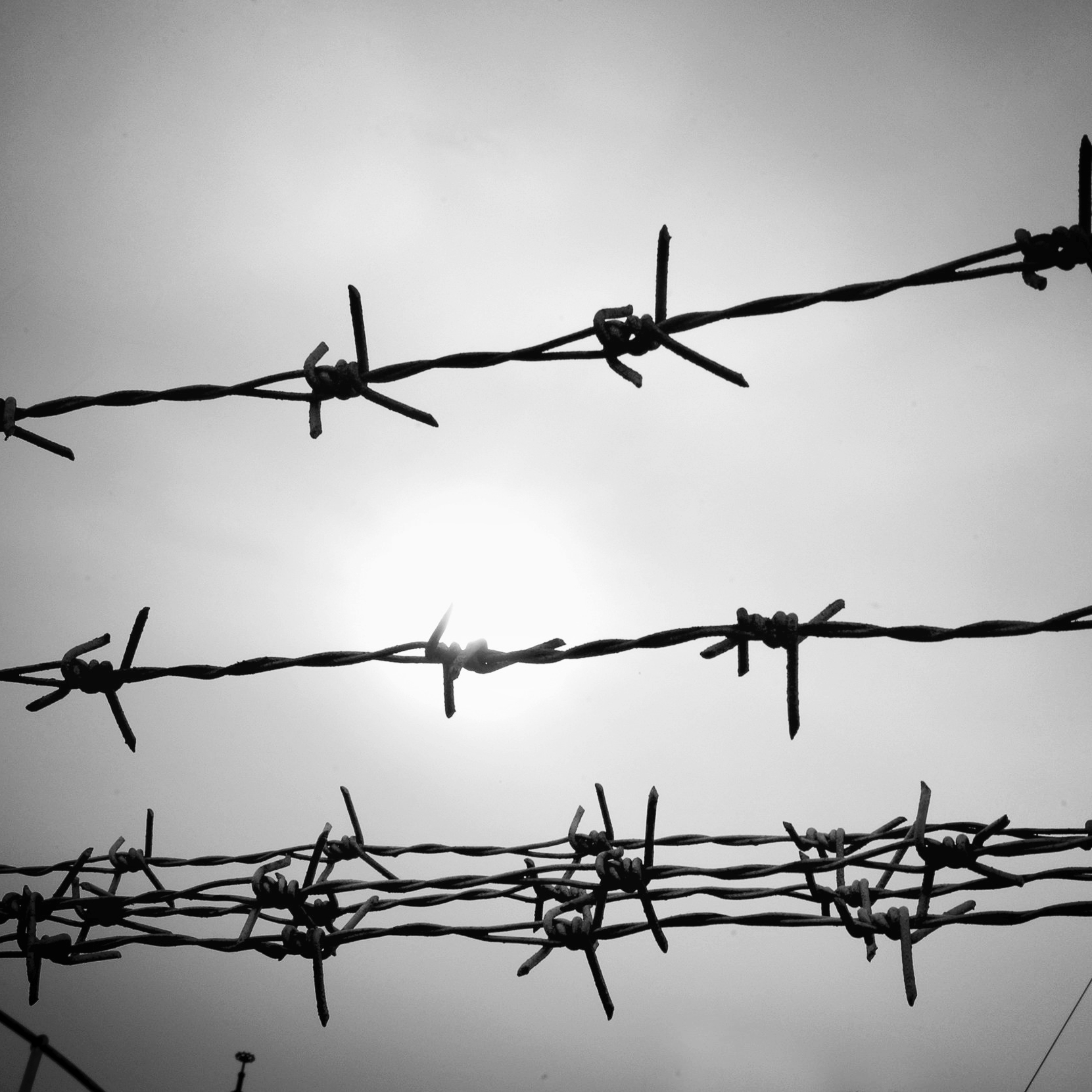 Photo: Freedom Star Media