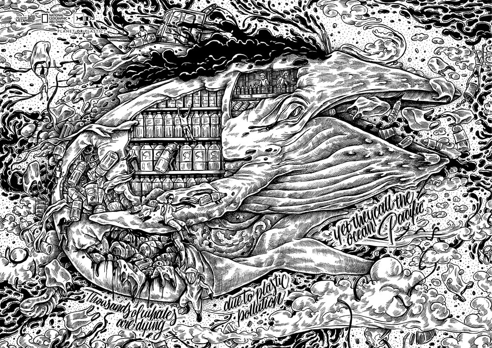 whale_final_version-01.jpg