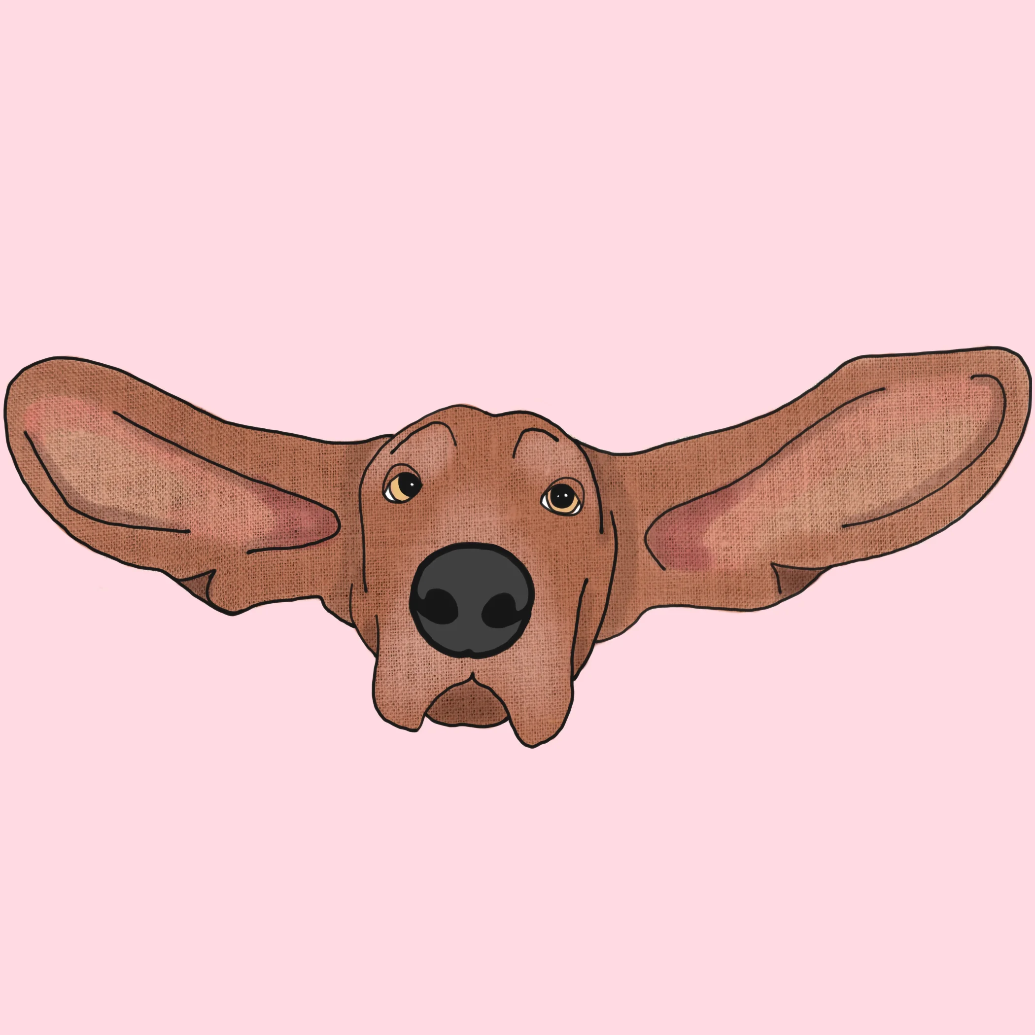 dog.jpg