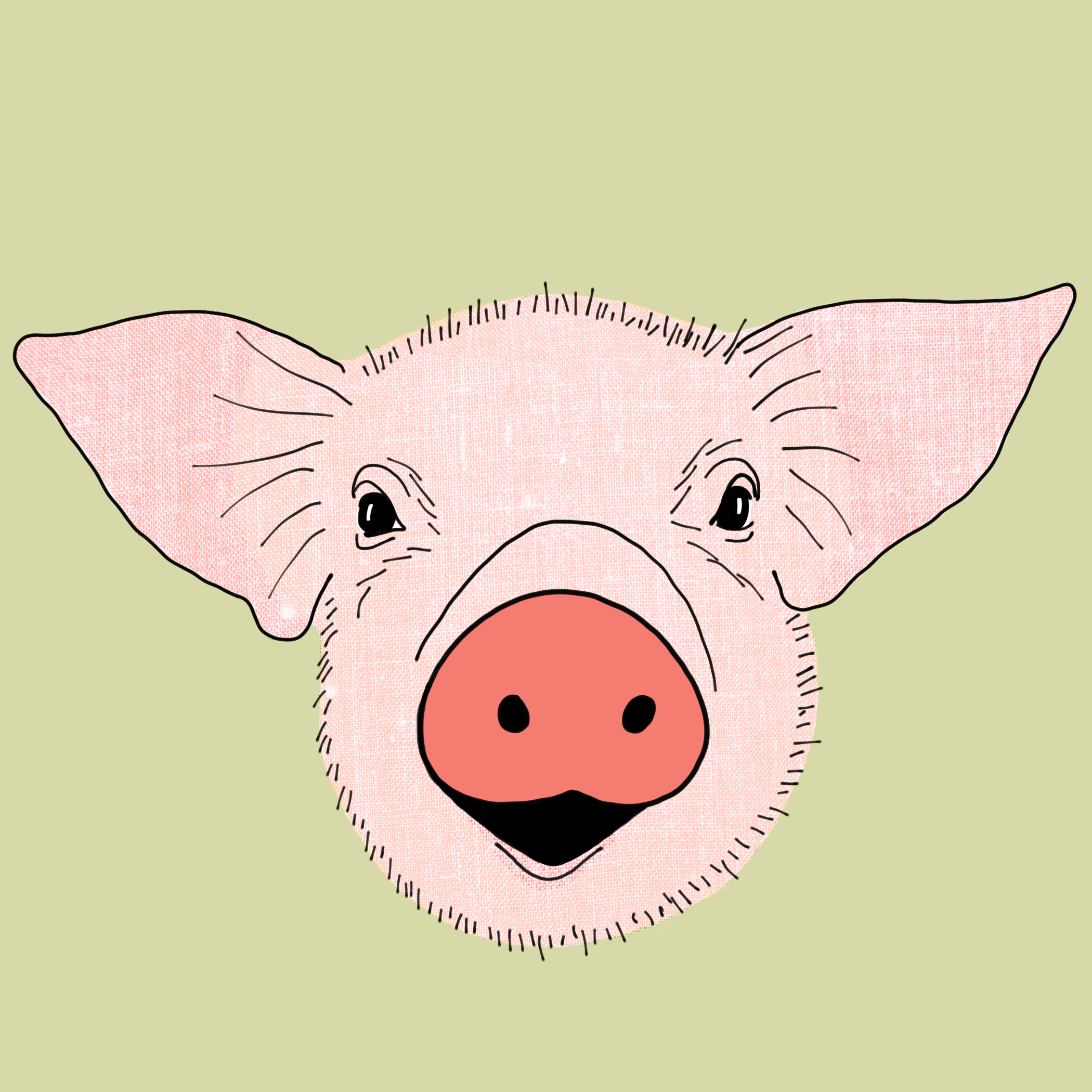 Pig.jpg
