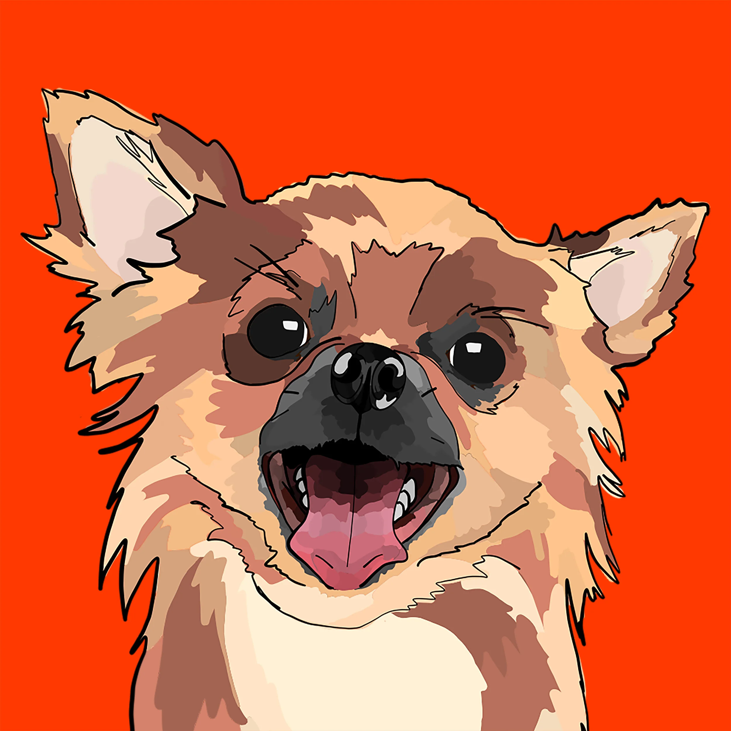 Duke.jpg