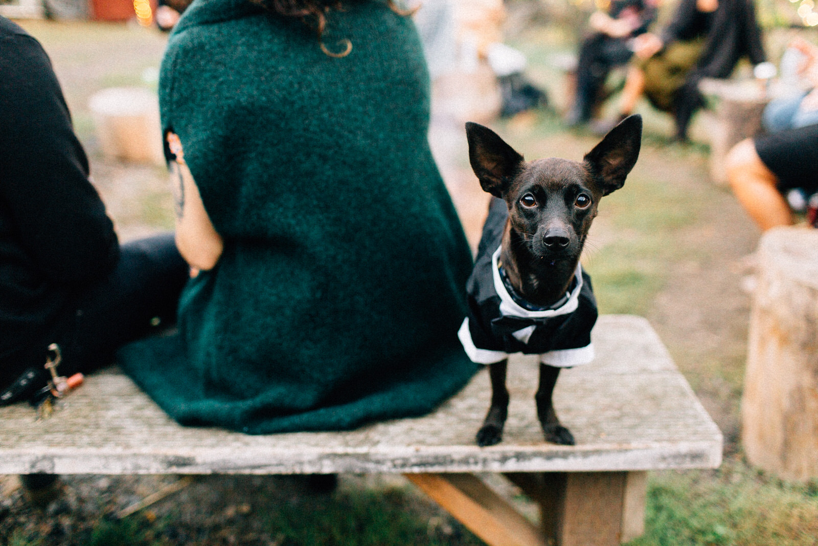 christina will pendarvis farm woodland wedding oregon forest fuck yeah weddings kendall shea outdoor ceremony