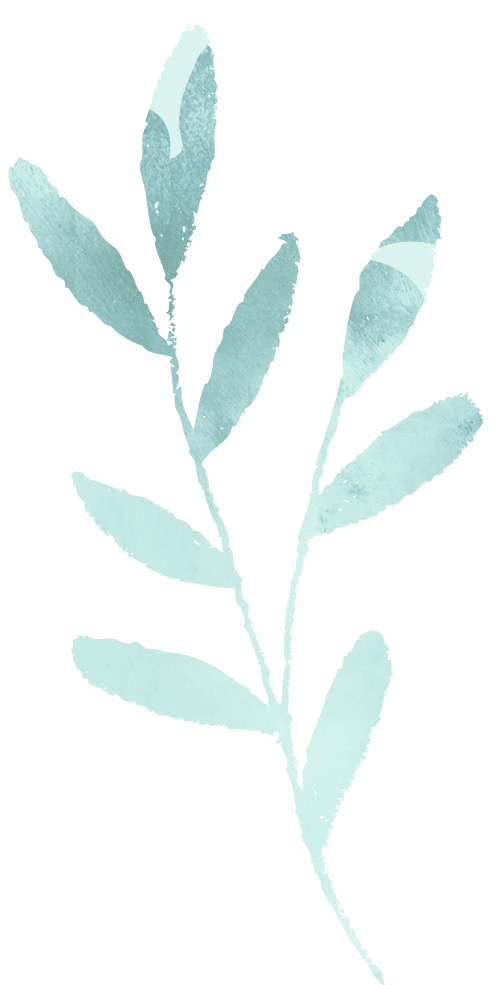 Green-Line.png