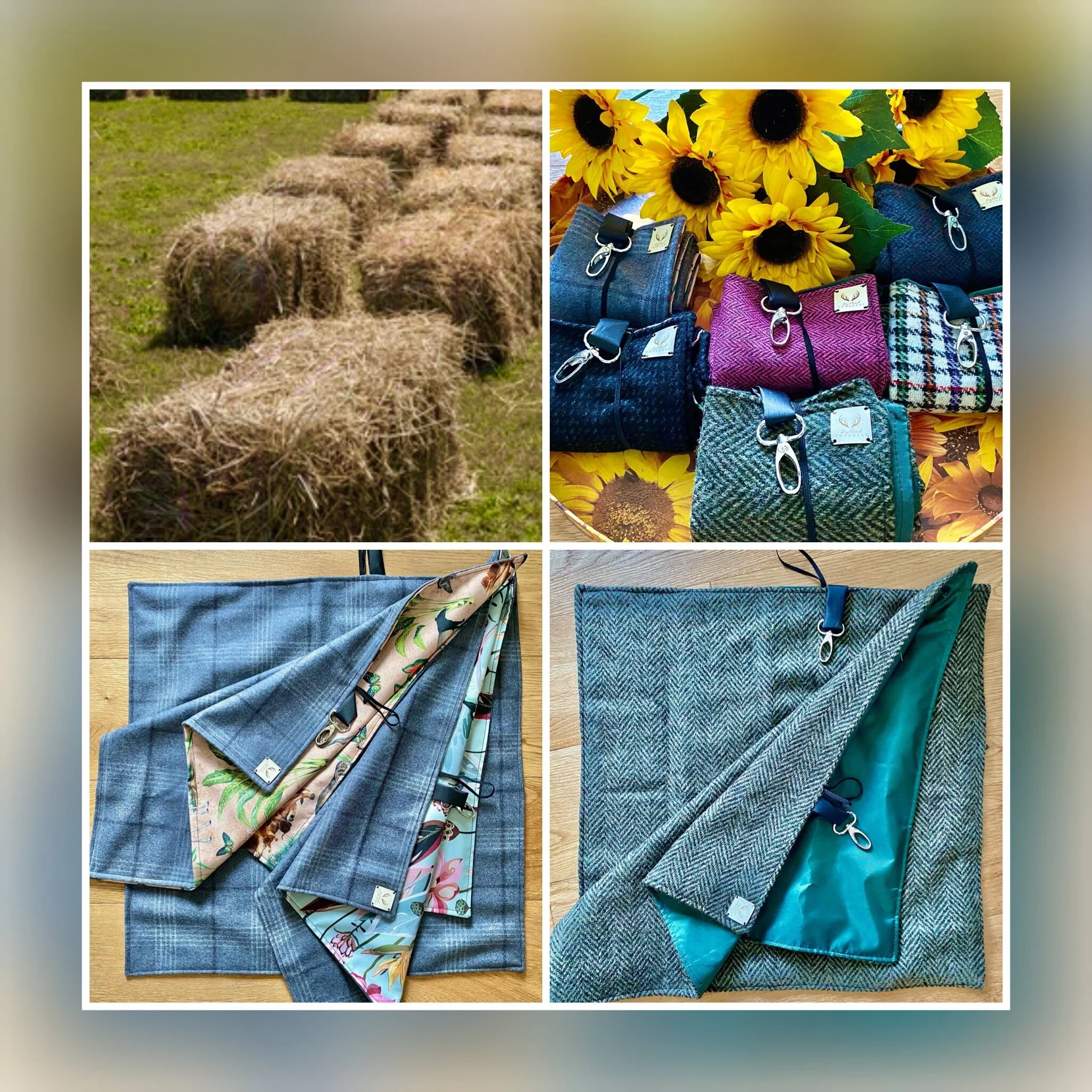 3A51BD79-58C8-4CE9-B0A7-09895AE6D212