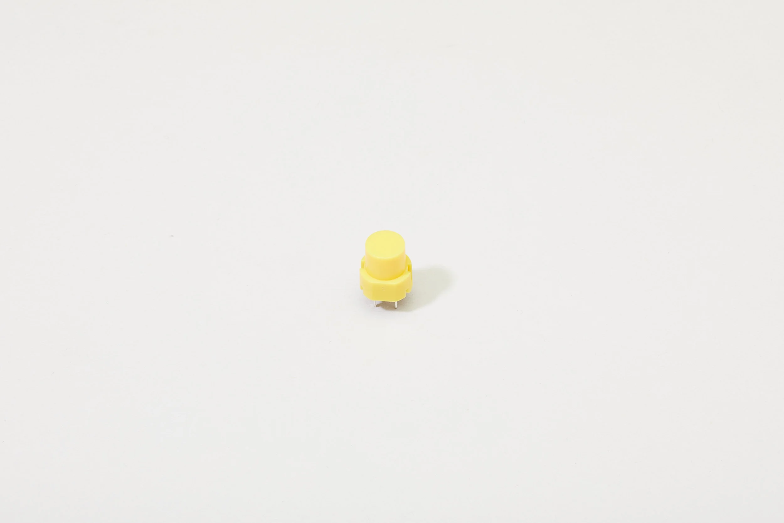 ES_C+K_YELLOW_0200.jpg