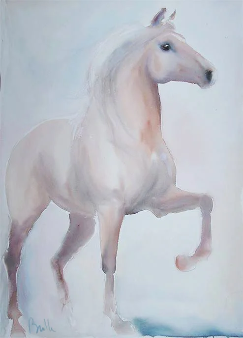 paso+fino.jpg