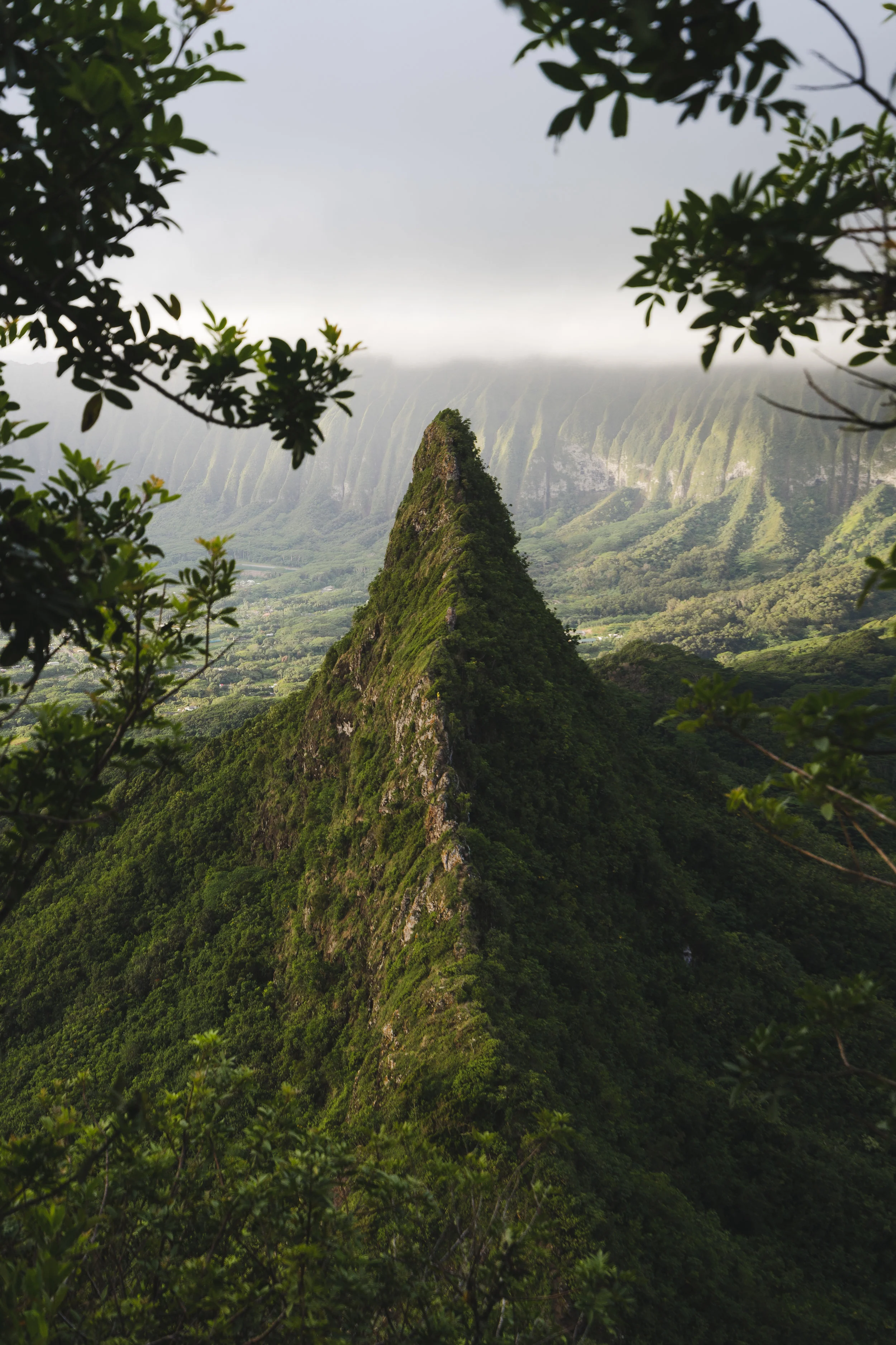 The third peak of the Olomana Ridge, this is the most difficult part of the hike. Can you spot Violetta? 