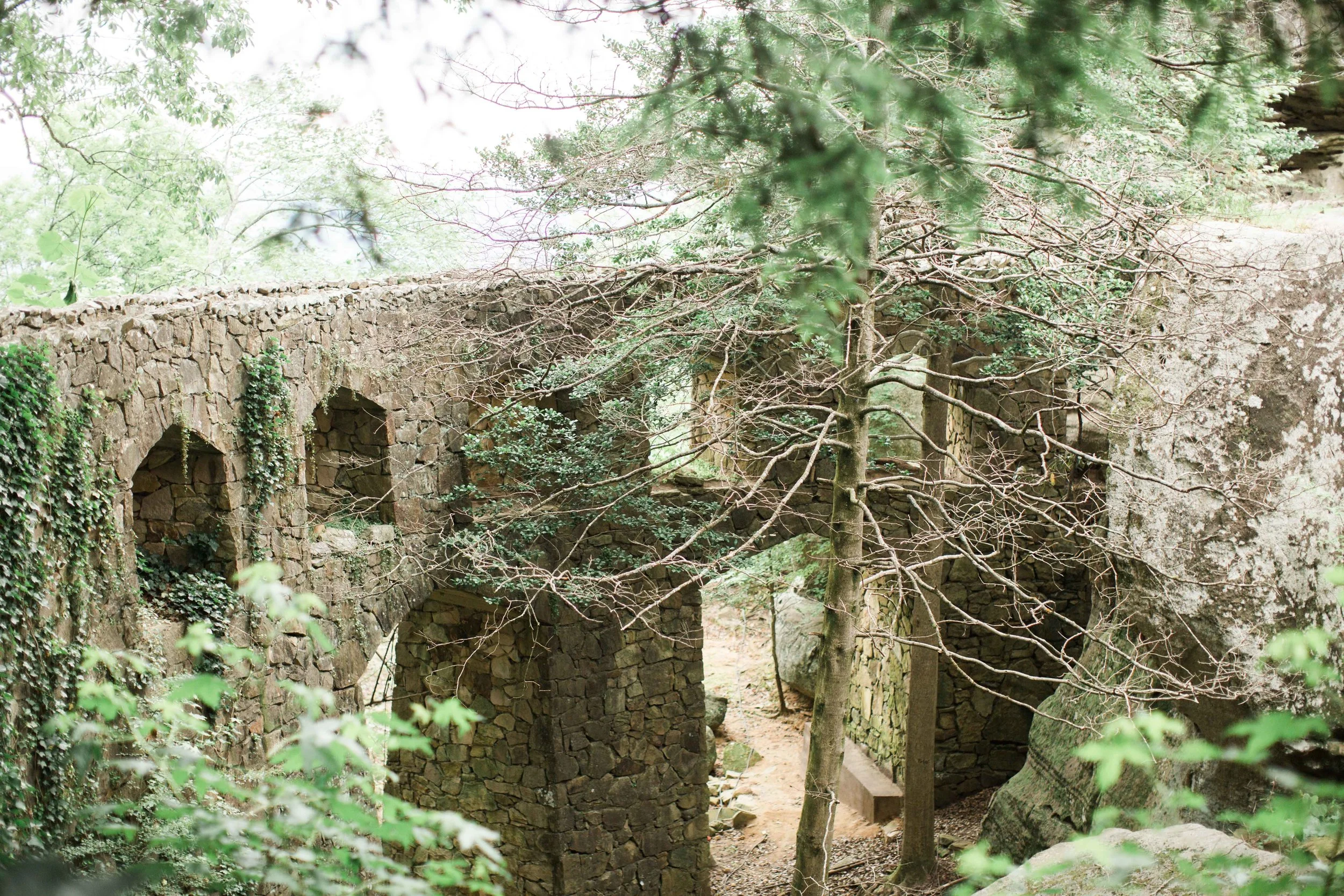 BTSL0976.JPG