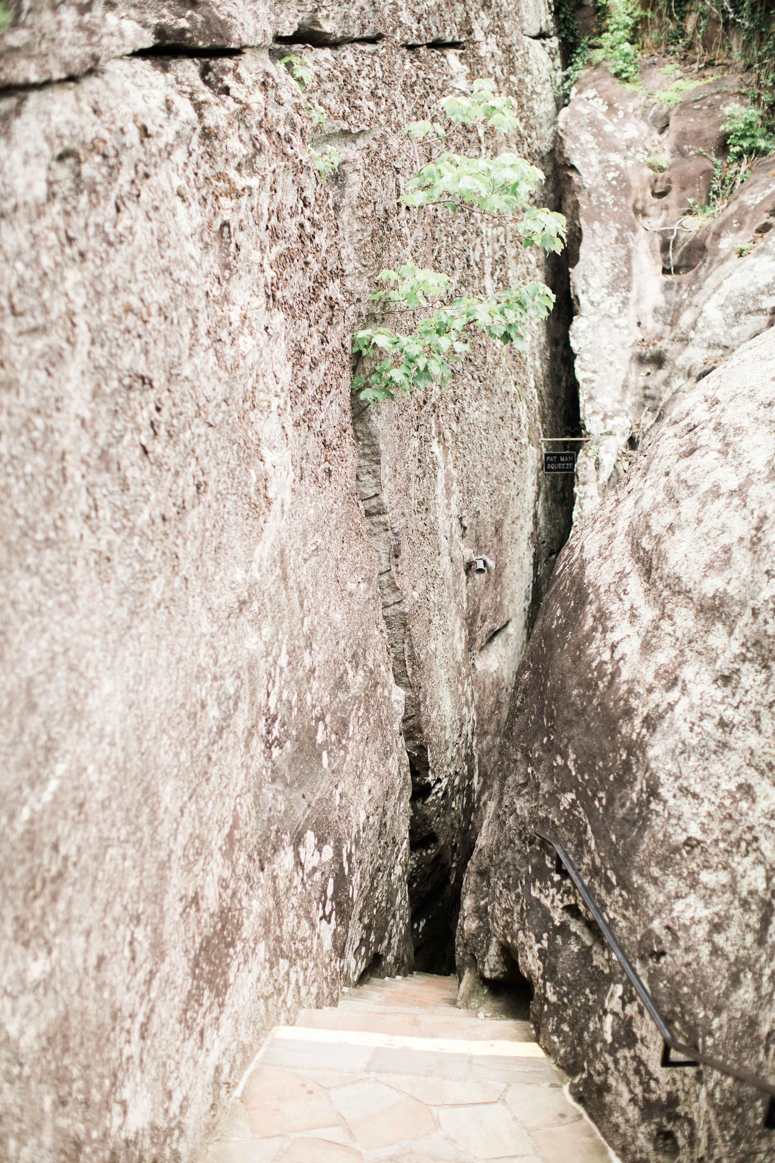 BTSL0974.JPG