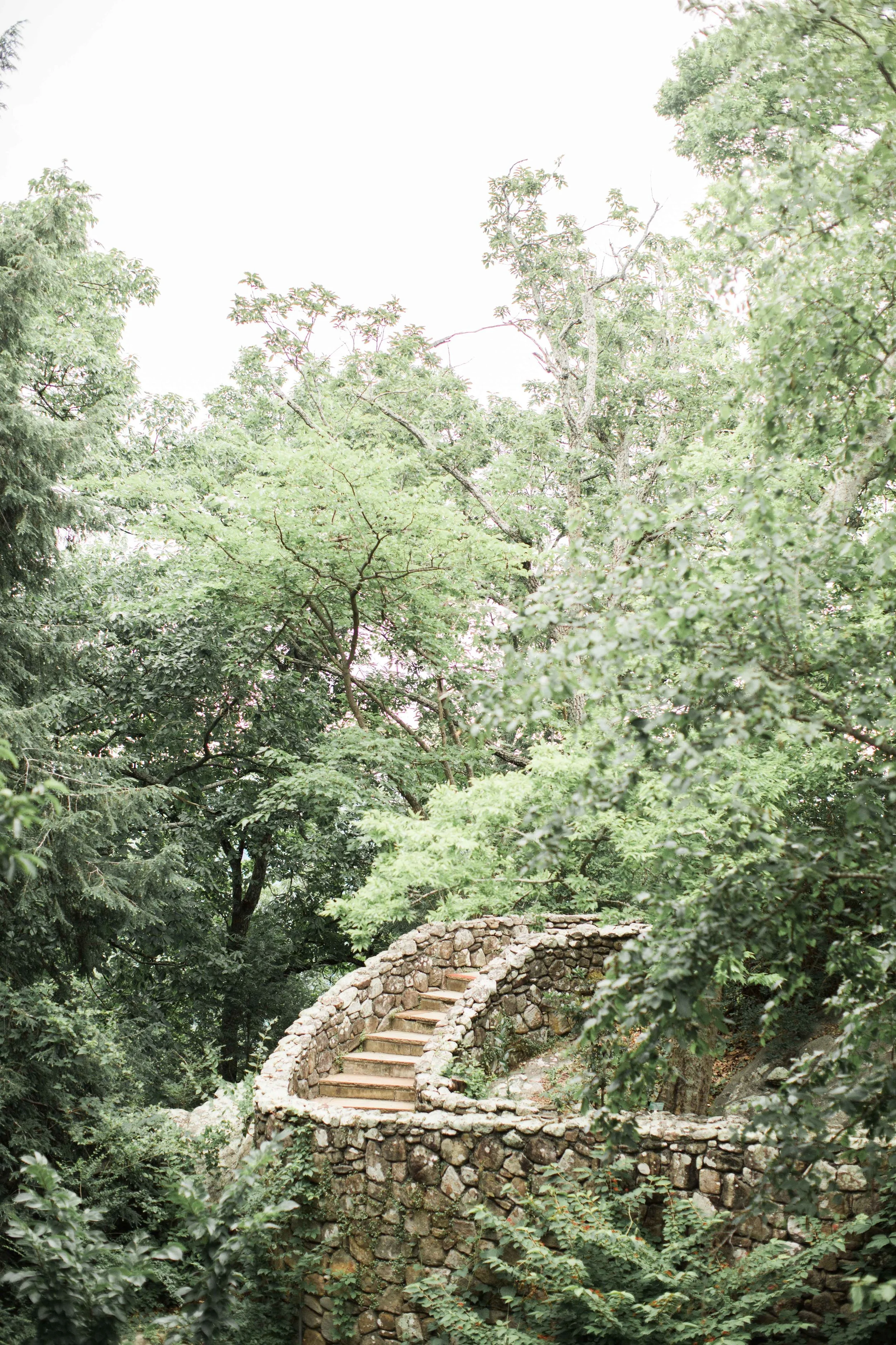 BTSL0955.JPG