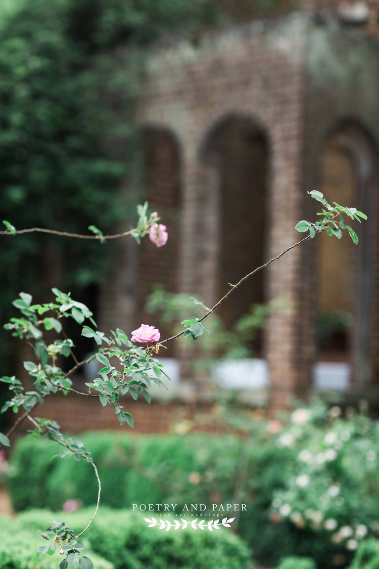 Barnsley Gardens Atlanta Wedding- Top-timeless- wedding photographer Dawn Johnson- Poetry and Paper-roses in garden.jpg