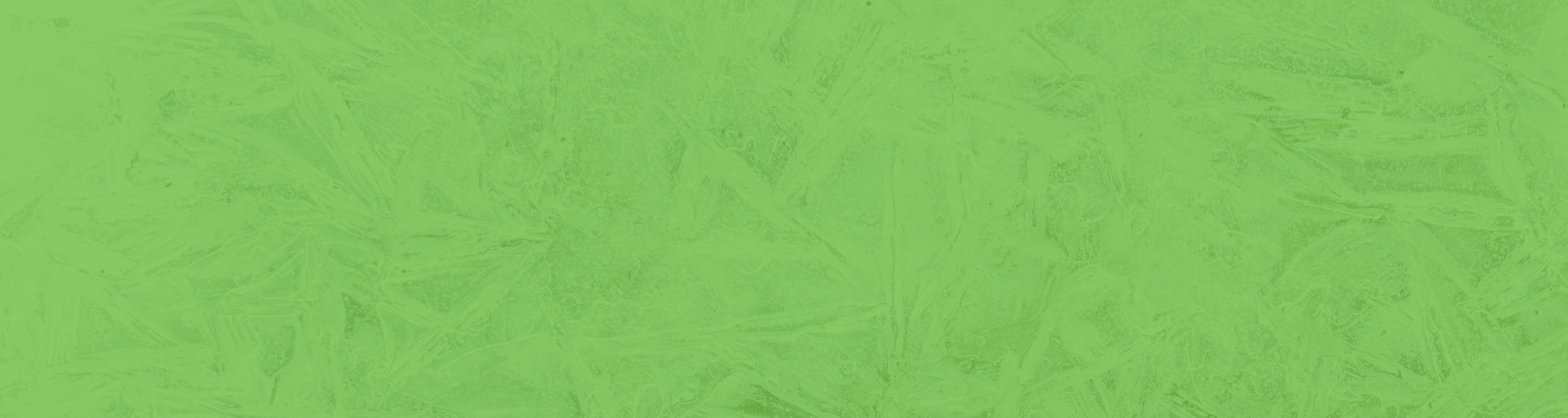 banner1.png