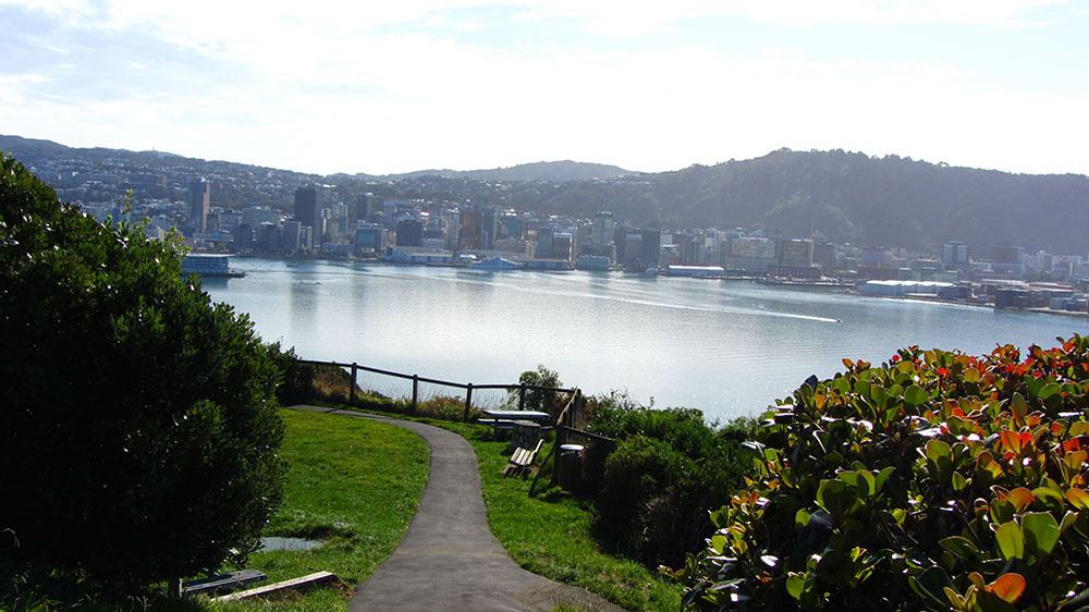 The-Crescent-Play-area-overlooking-Wellington.jpg