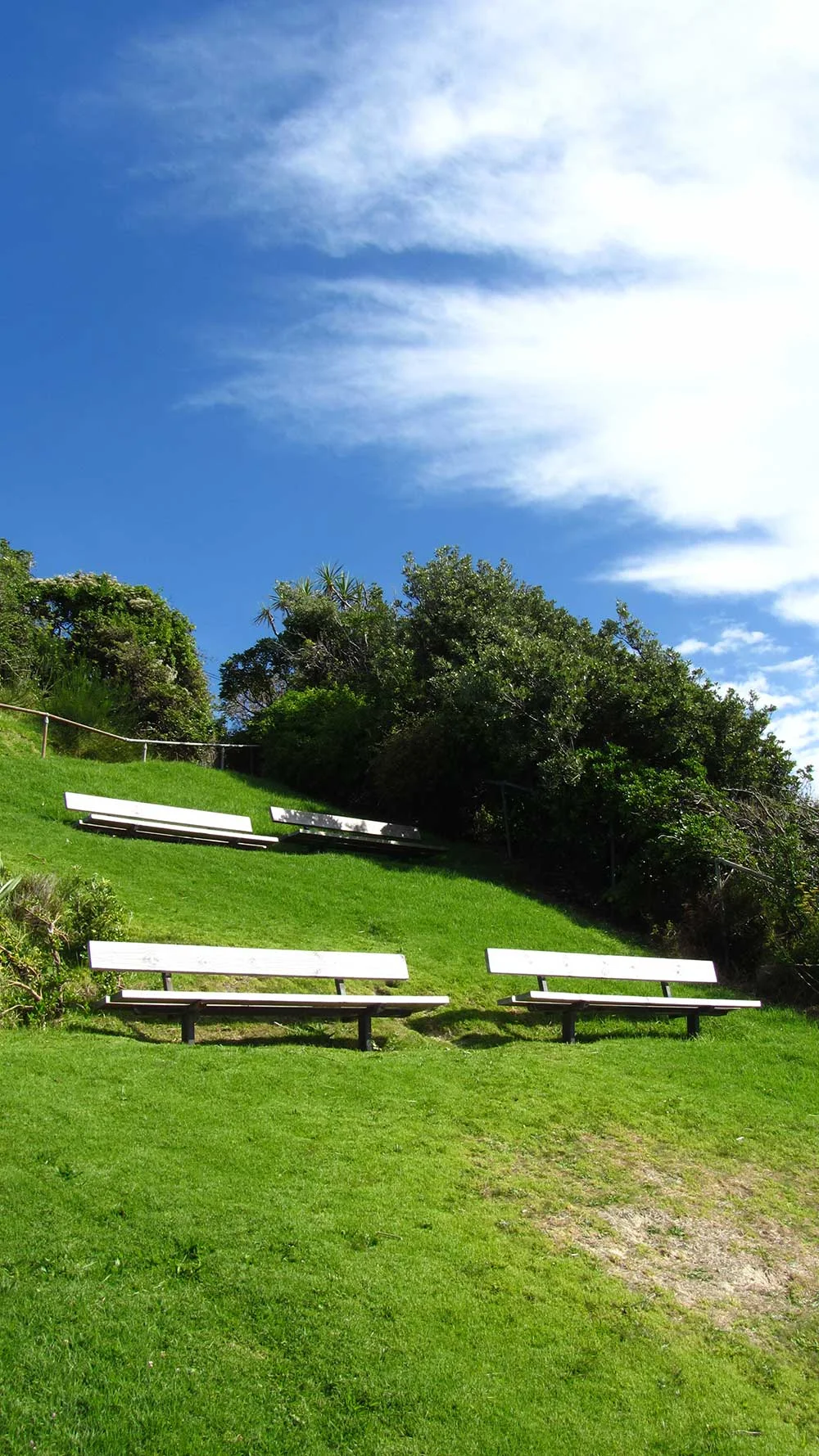 Roseneath-Memorial-Park---1000.jpg