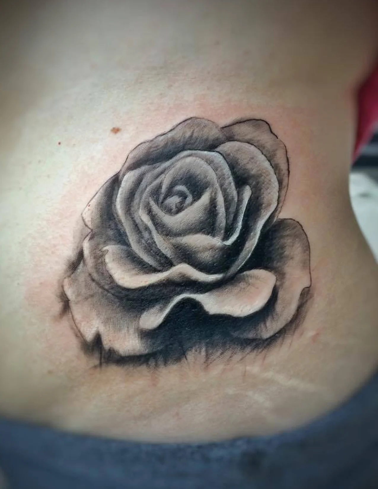 flowerrose.jpg
