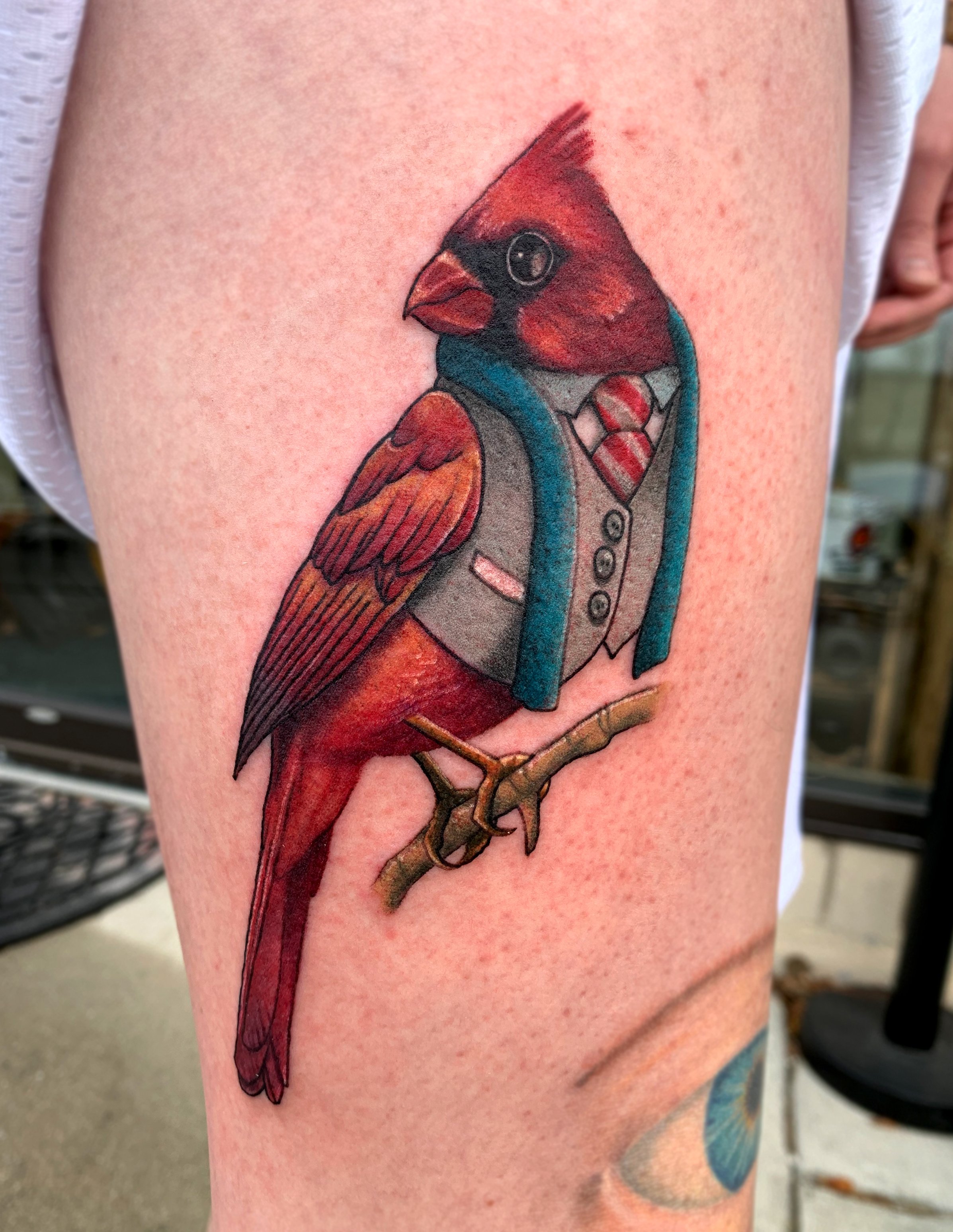 dappercardinal.jpg