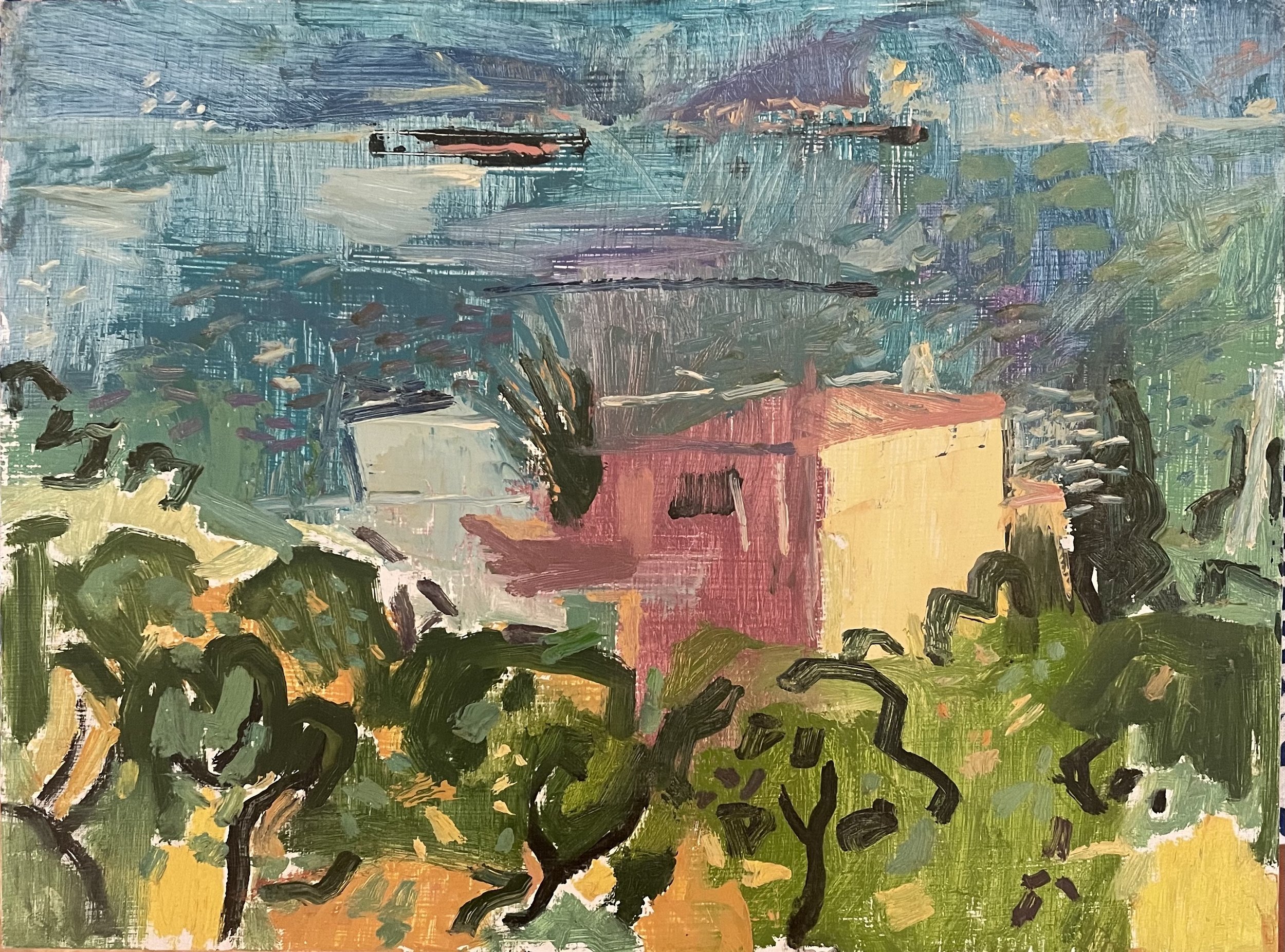 Pink House in Pistachio Grove 40 x 30cm