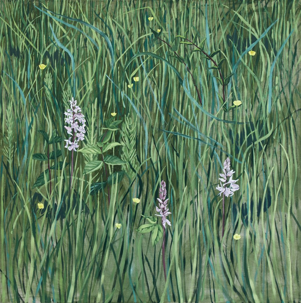 Thyme Water Meadows II