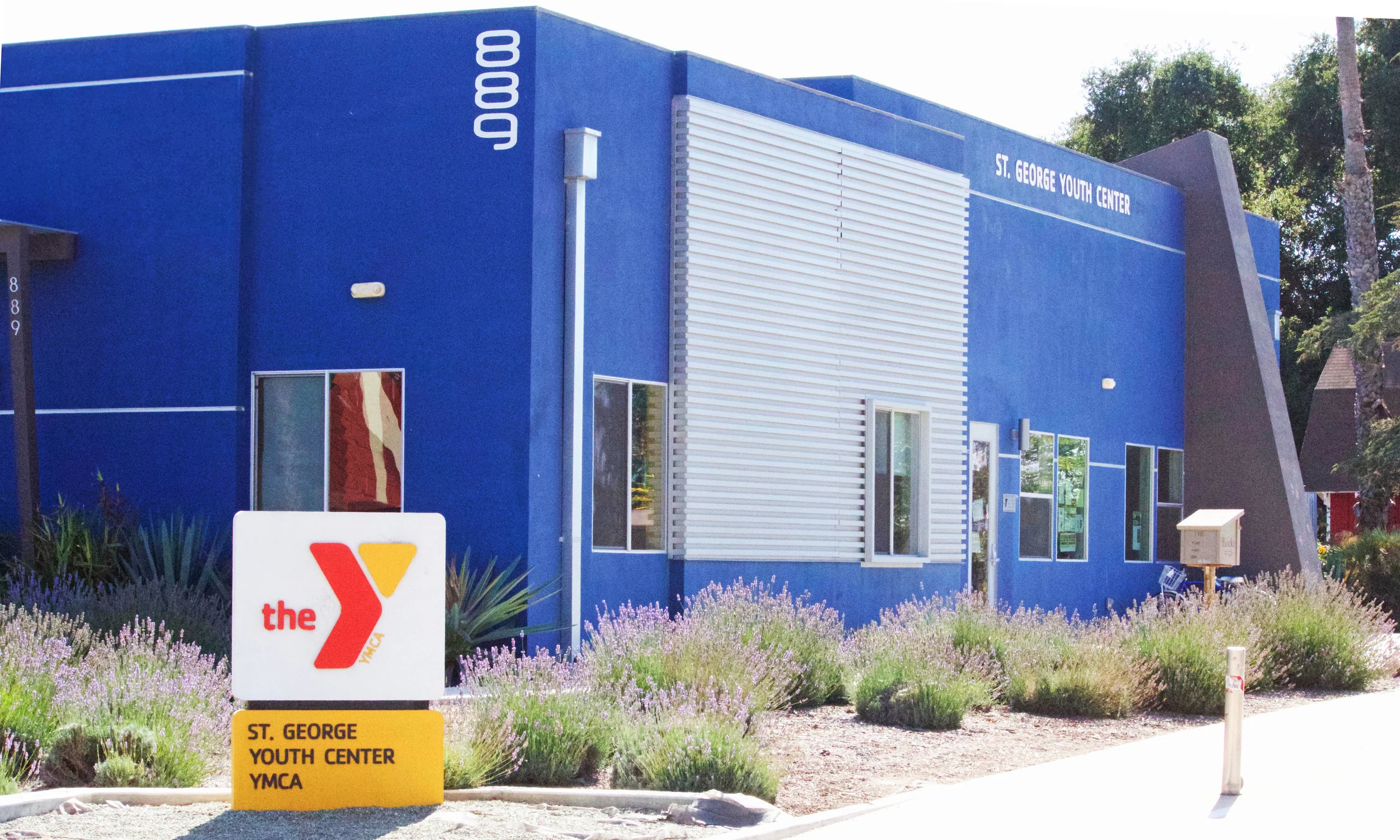 YMCA_COLORFIX.jpg