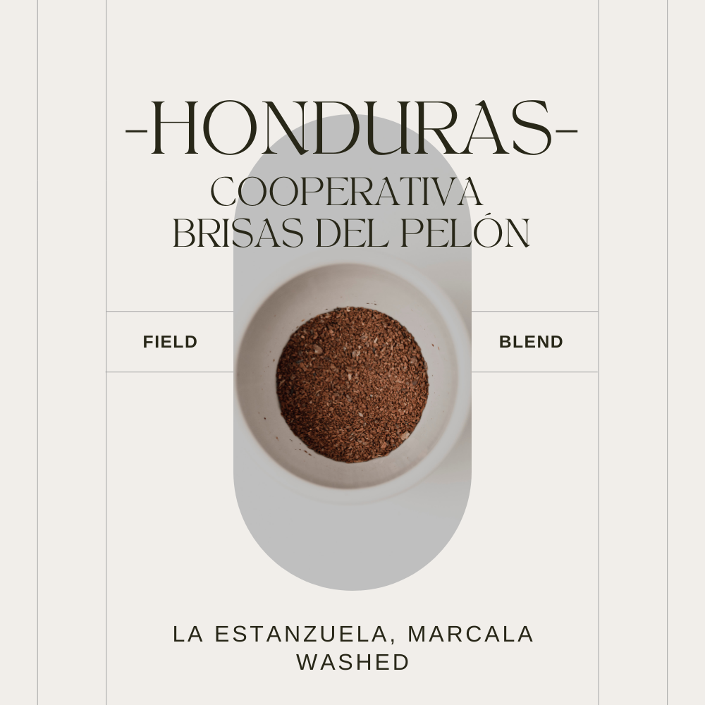 HONDURAS - COOPERATIVA BRISAS DEL PELON - FIELD BLEND - WASHED