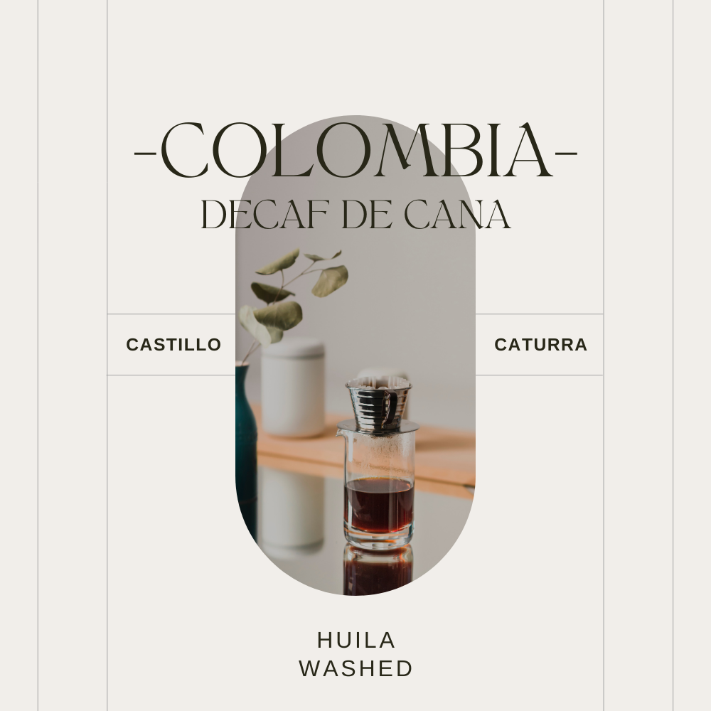 COLOMBIA - DECAF DE CANA - CASTILLO & CATURRA - WASHED