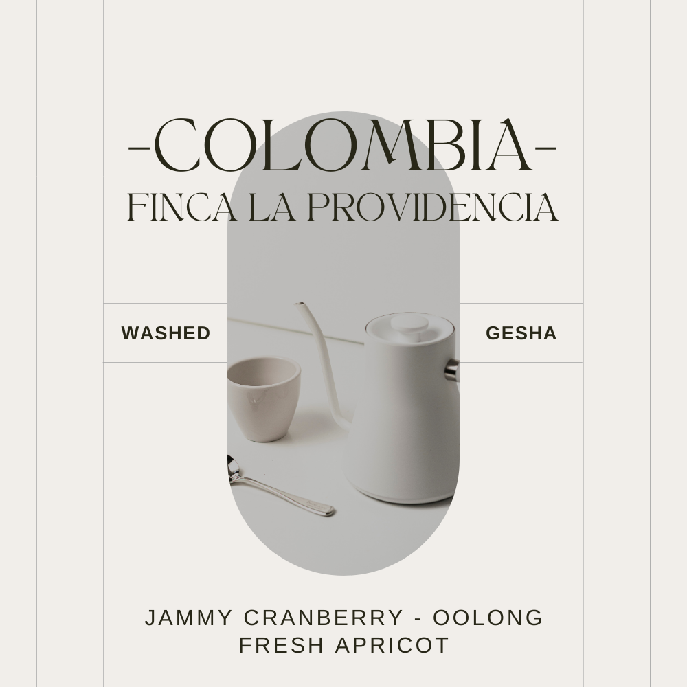 COLUMBIA - GESHA - FINCA LA PROVIDENCIA - WASHED