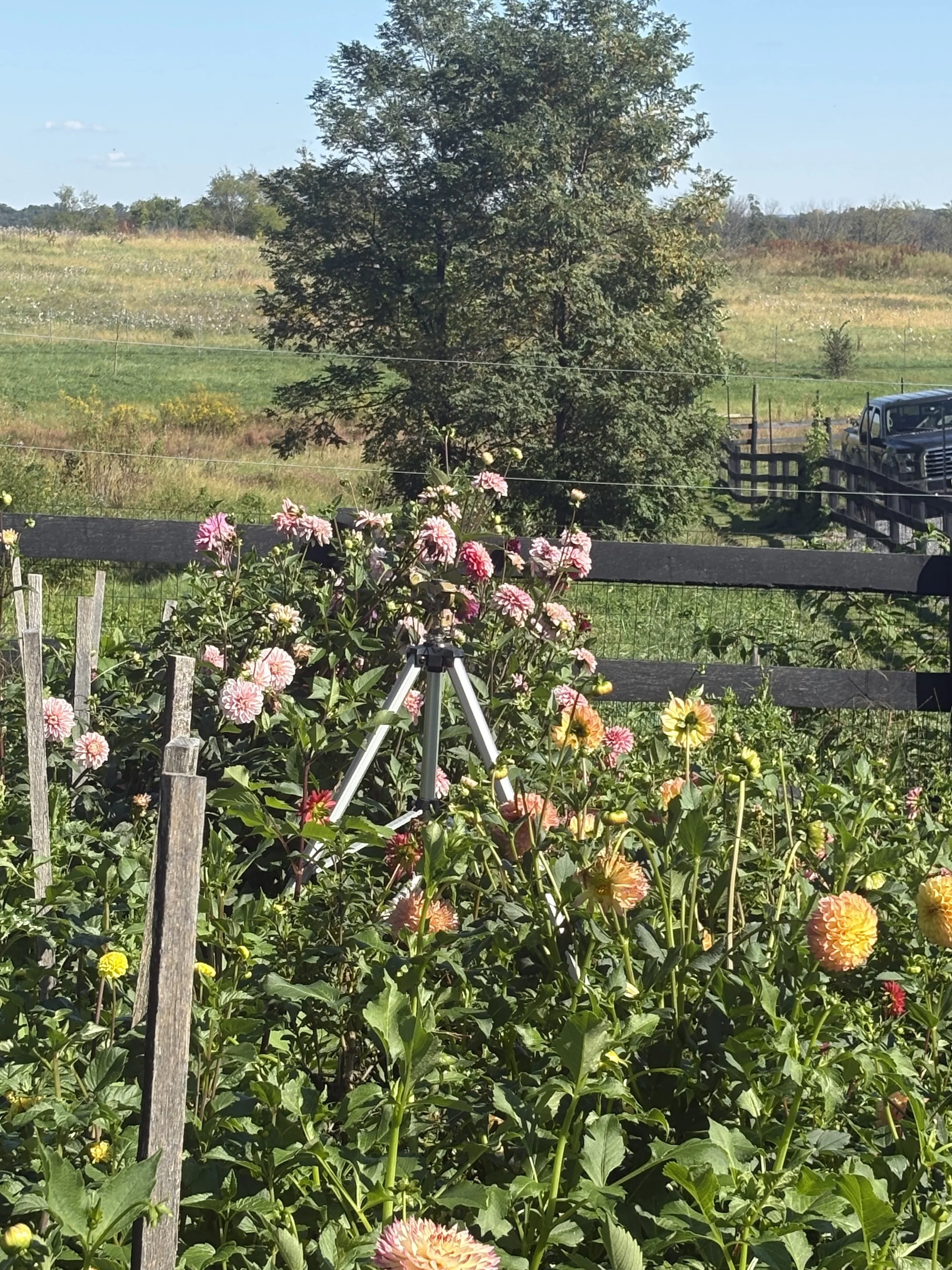 IMG_2749.jpeg