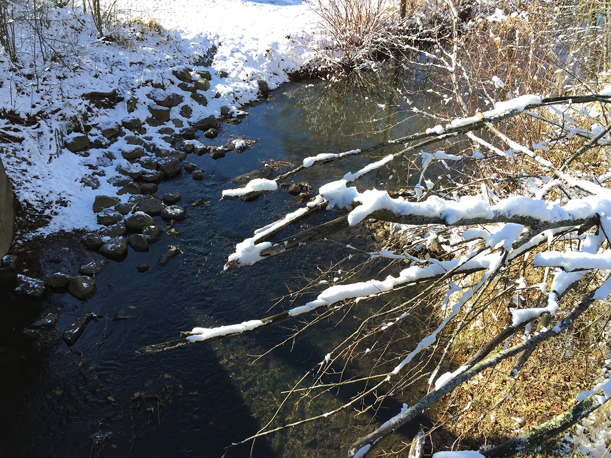 Nash Creek in Sparta, Michigan.