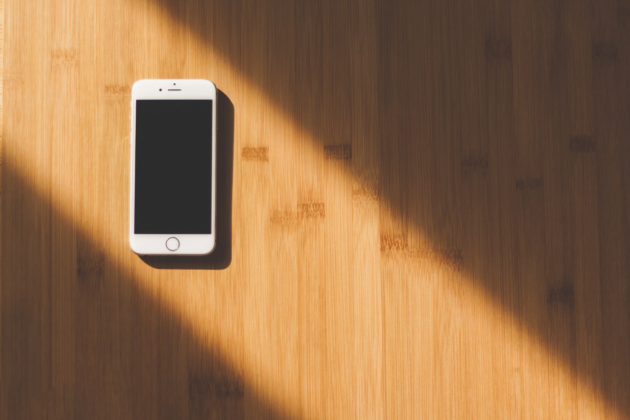 pexels-photo-48605-1.jpeg