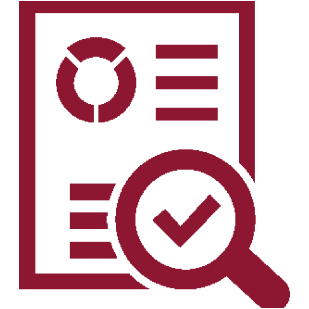 Document icon with a magnifying glass and checkmark indicating inspection or verification