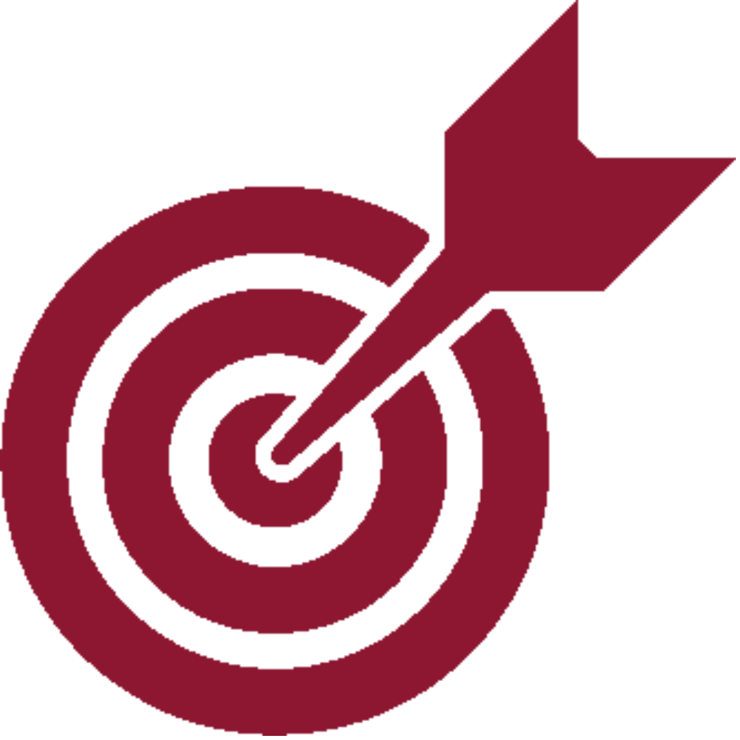 A target with concentric circles and an arrow hitting the bullseye.