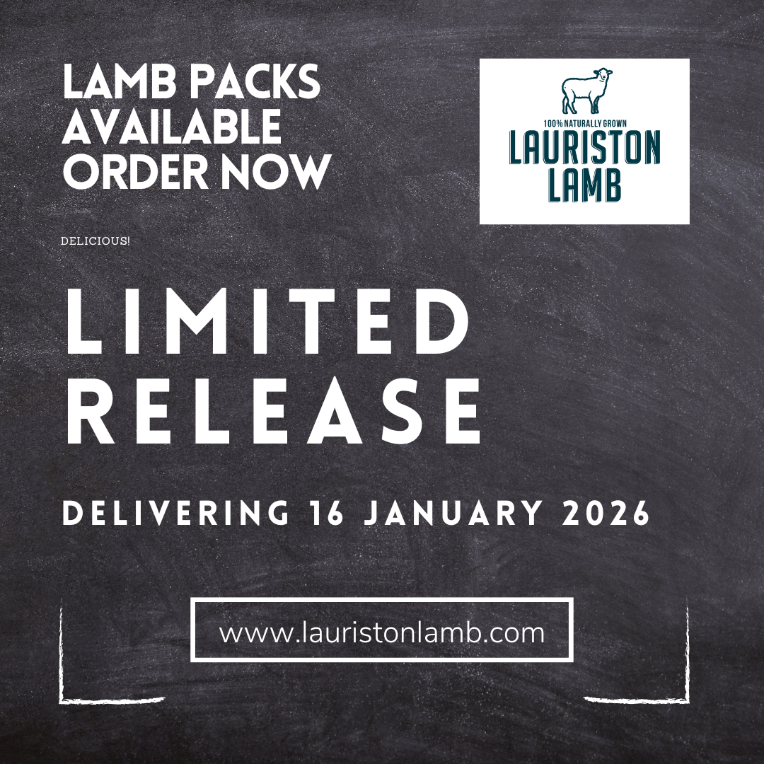 Lauriston Lamb 16 Dec 2026 Release.png