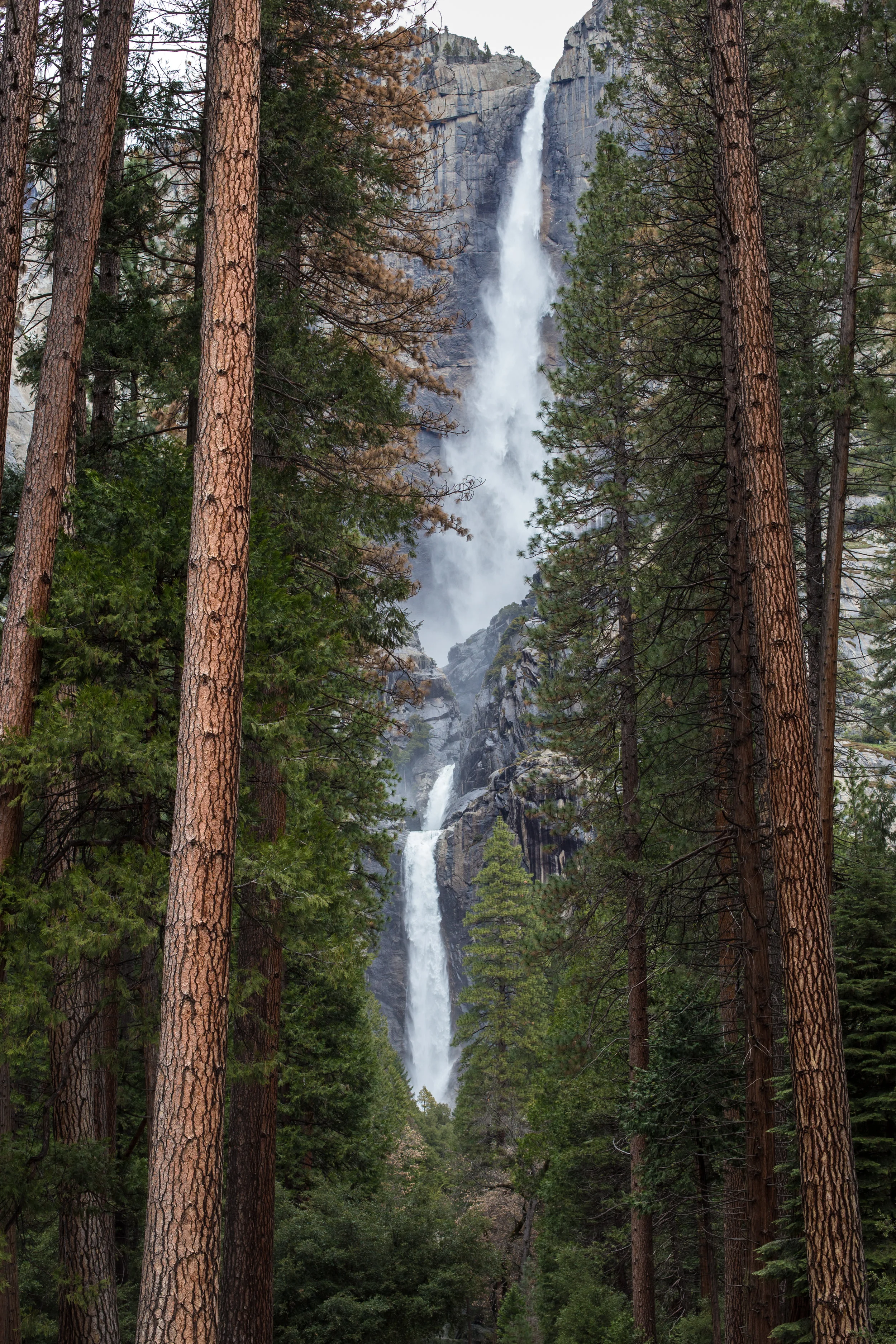 Yosemite was our first stop, we hiked to the top of Yosemite Falls, the tallest in North America! The higher we got the more snow there was. It was slushy and melting so we fell.. a lot. I have blisters from that day that are finally healing, and I have some pretty funny memories of Mary actually sliding down the trail.