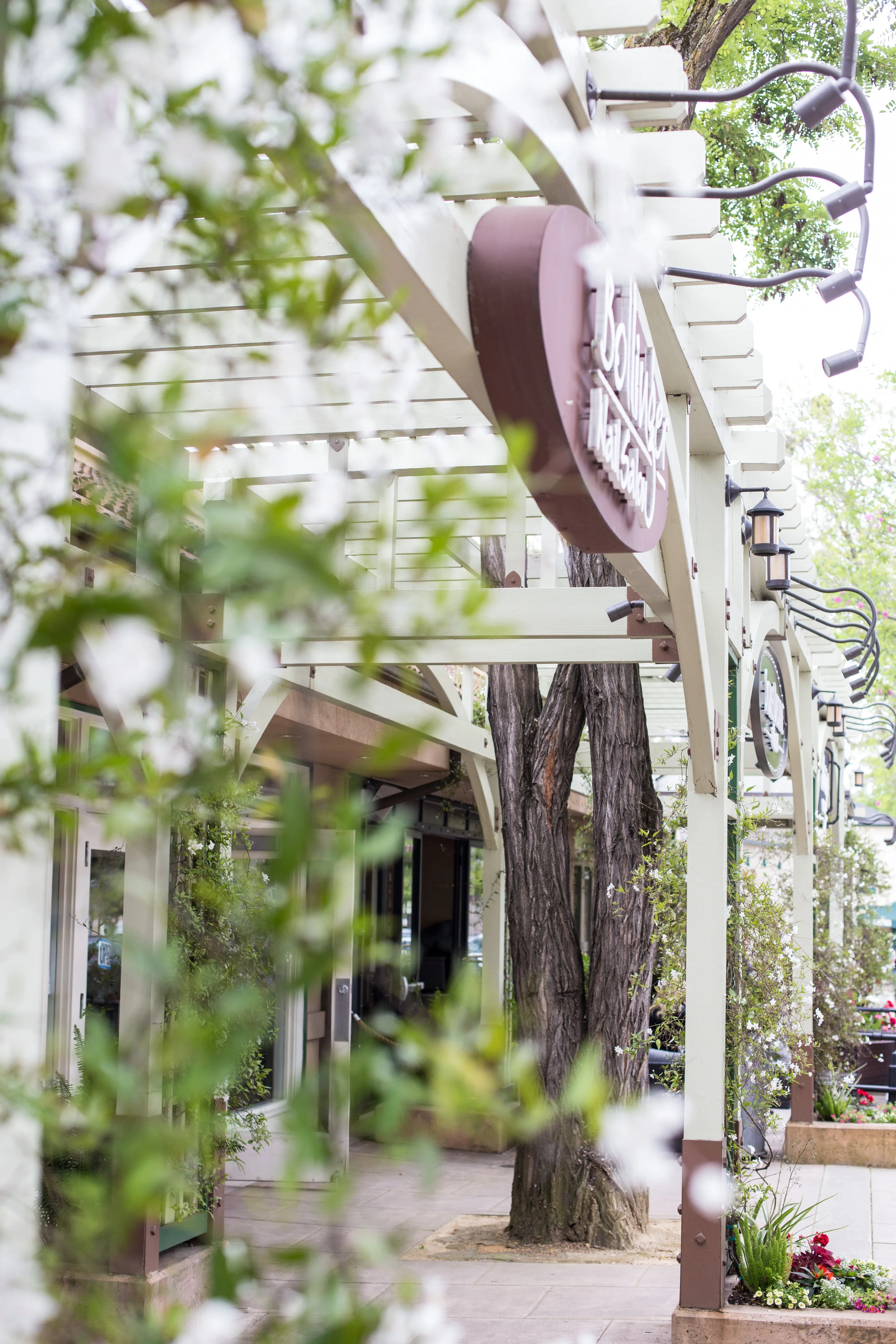 Downtown Pleasanton, isn't it dreamy??