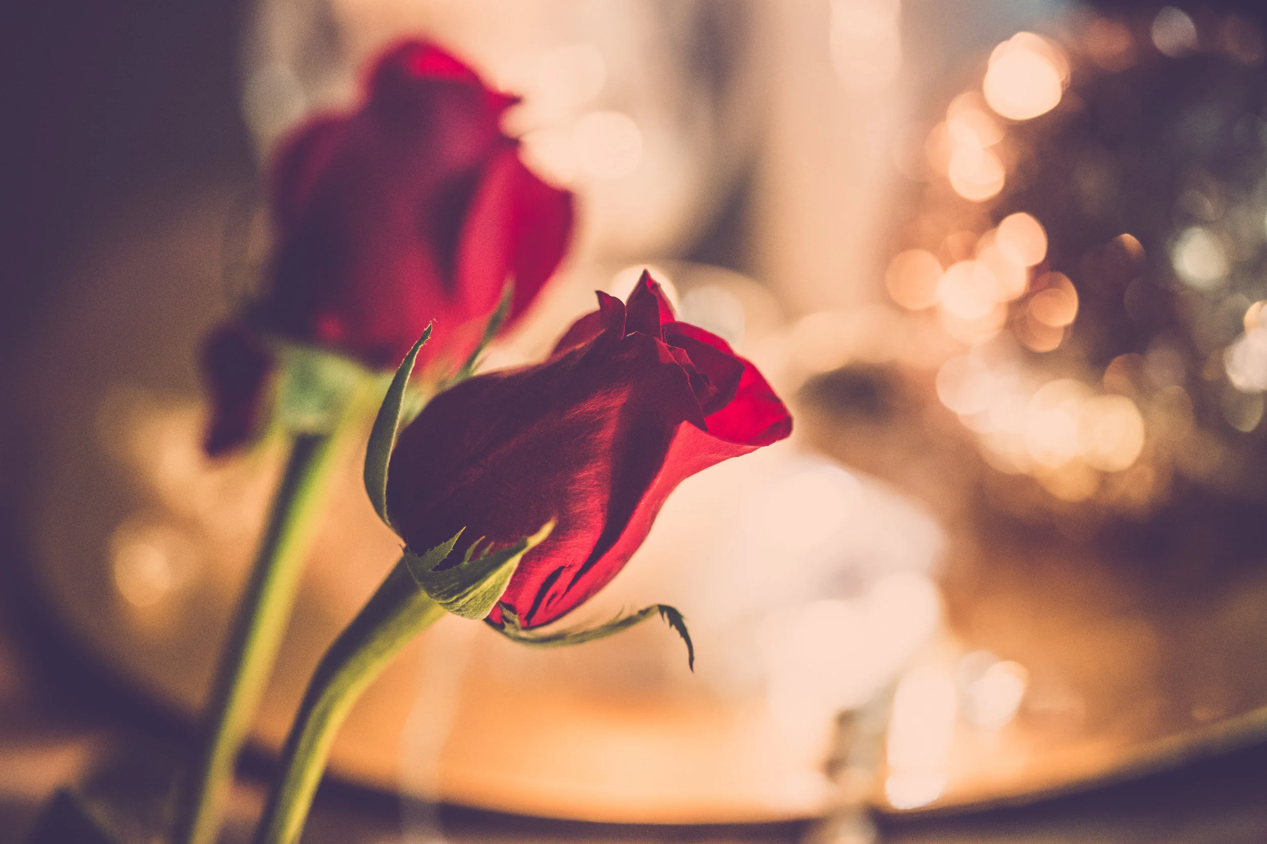 A gorgeous rose at my sister's NYE wedding reception