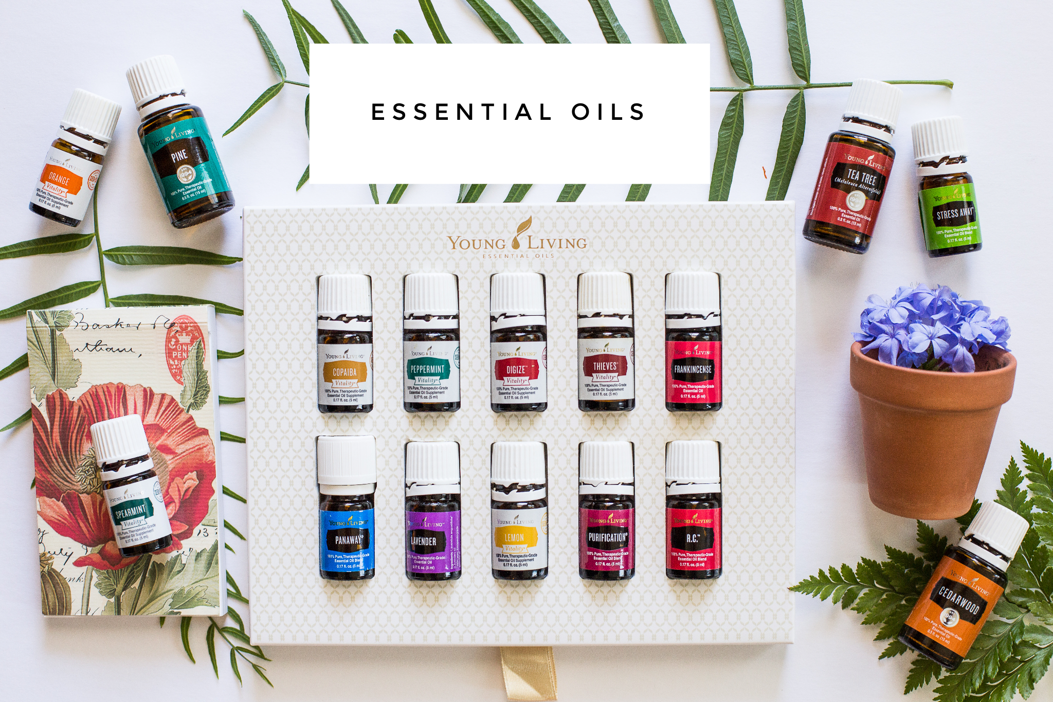 Are you sick of me talking about oils yet? Hint: It probably won't stop ;) I am IN LOVE with this new, oily lifestyle. These are used for all kinds of support. Respiratory, immune, skin, etc. I incorporated them into my daily life and I find them so soothing to turn to. I can create a spa like atmosphere, or beauty care products with them, they are natural, safe alternatives to the chemicals that we use. By common sense you can figure out that this has to be better for you: to support your body vs damage its systems with harsh chemicals. Research the effects of our daily use products on hormones, our endocrine system, etc. Be proactive, and feel the difference :) I joined a team of oilers (is that what they are called?) when I bought my starter kit, and I have been blown away with the support, conversations, ideas, lifestyle sharing that they all do. My sister joined as well and she got so excited and said "these are my people!" I feel the exact same way. It isn't "normal" to throw away all of the chemicals in your home, or to consider food to be medicine, or to put oils on your feet every night. But I never wanted to be normal anyways. 