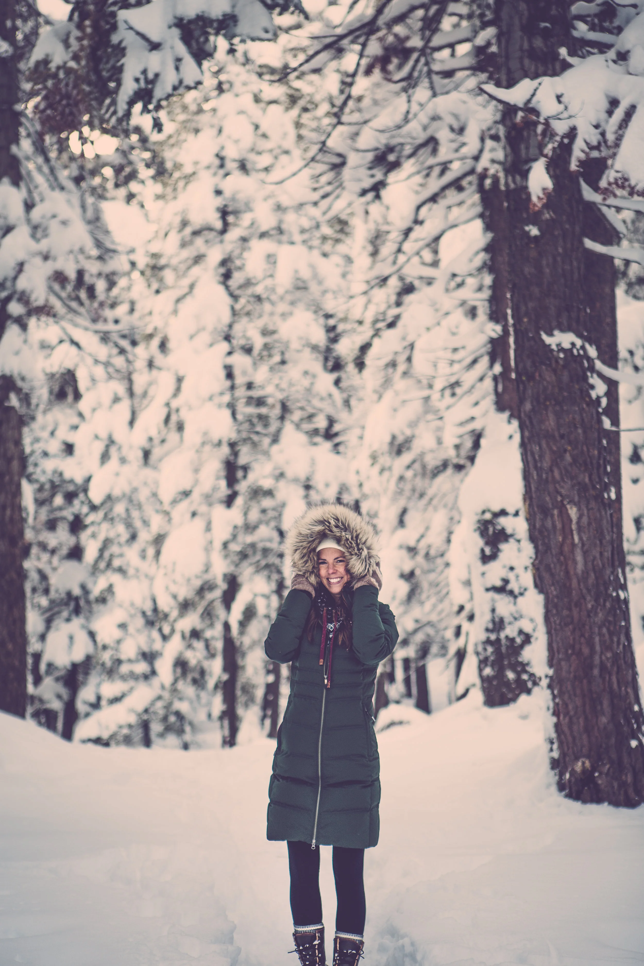 untitled-256-1.jpg