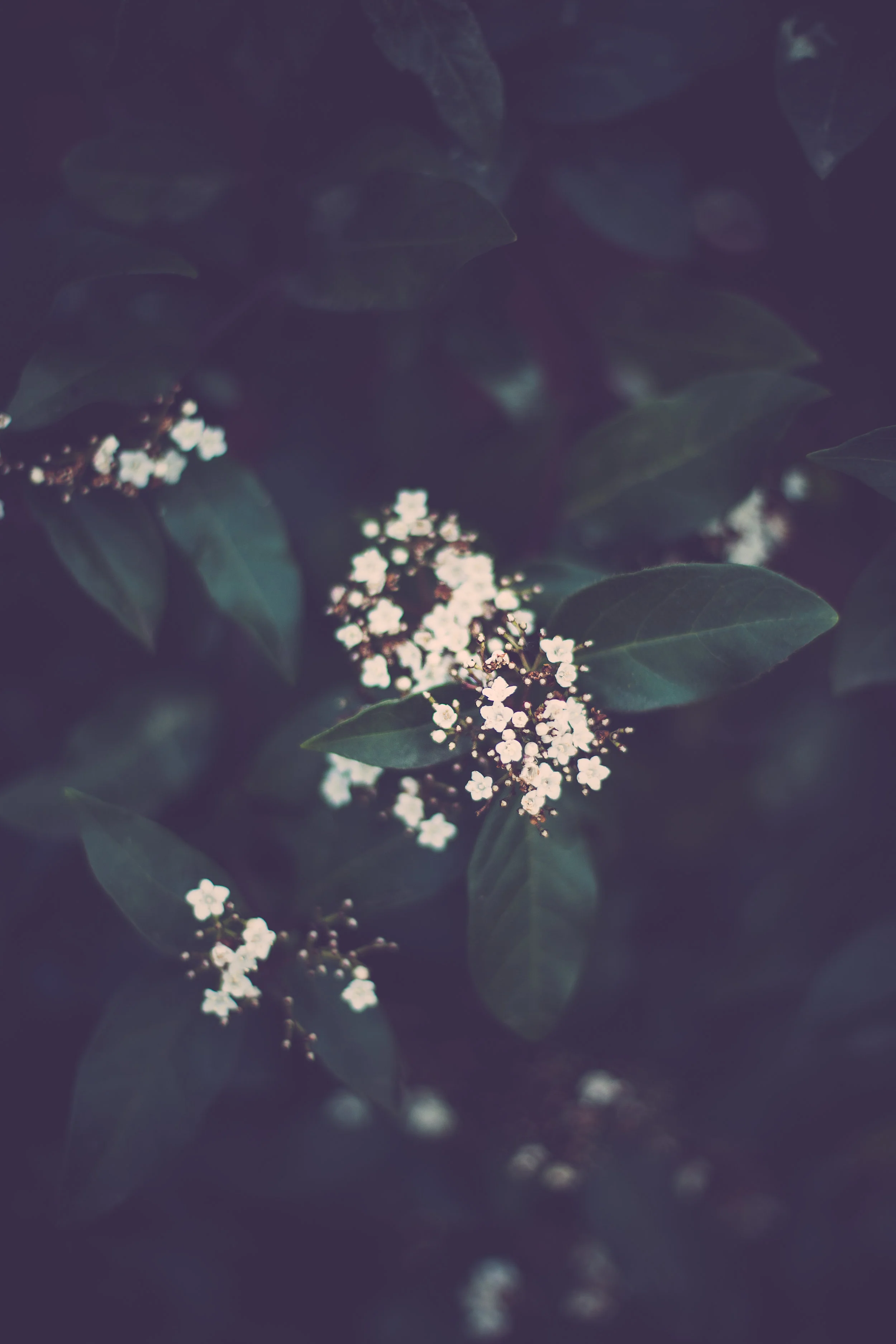 untitled-45-1.jpg