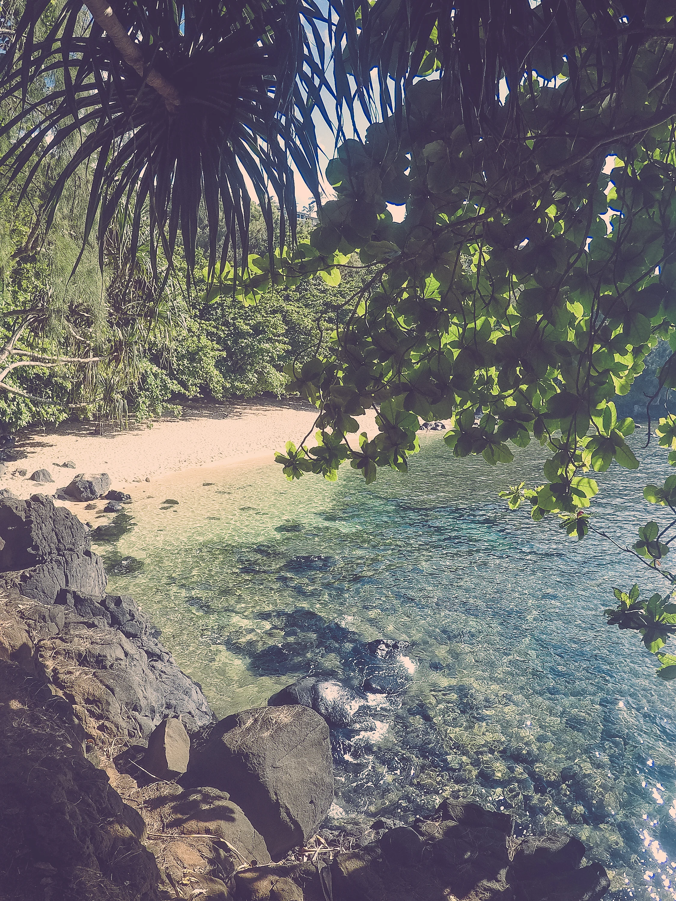 This is the same beach I mentioned before. This is just a go pro shot of the beautiful water. There is plenty of shade from the trees so you don’t need to bring much down, just food, water, and snorkel gear :) Hike to the far end for our favorite spot that we swam on the entire trip (around the rocky ledge). If you watch the video below, you’ll see the turtles and Riley diving down right here, it was so gorgeous!
