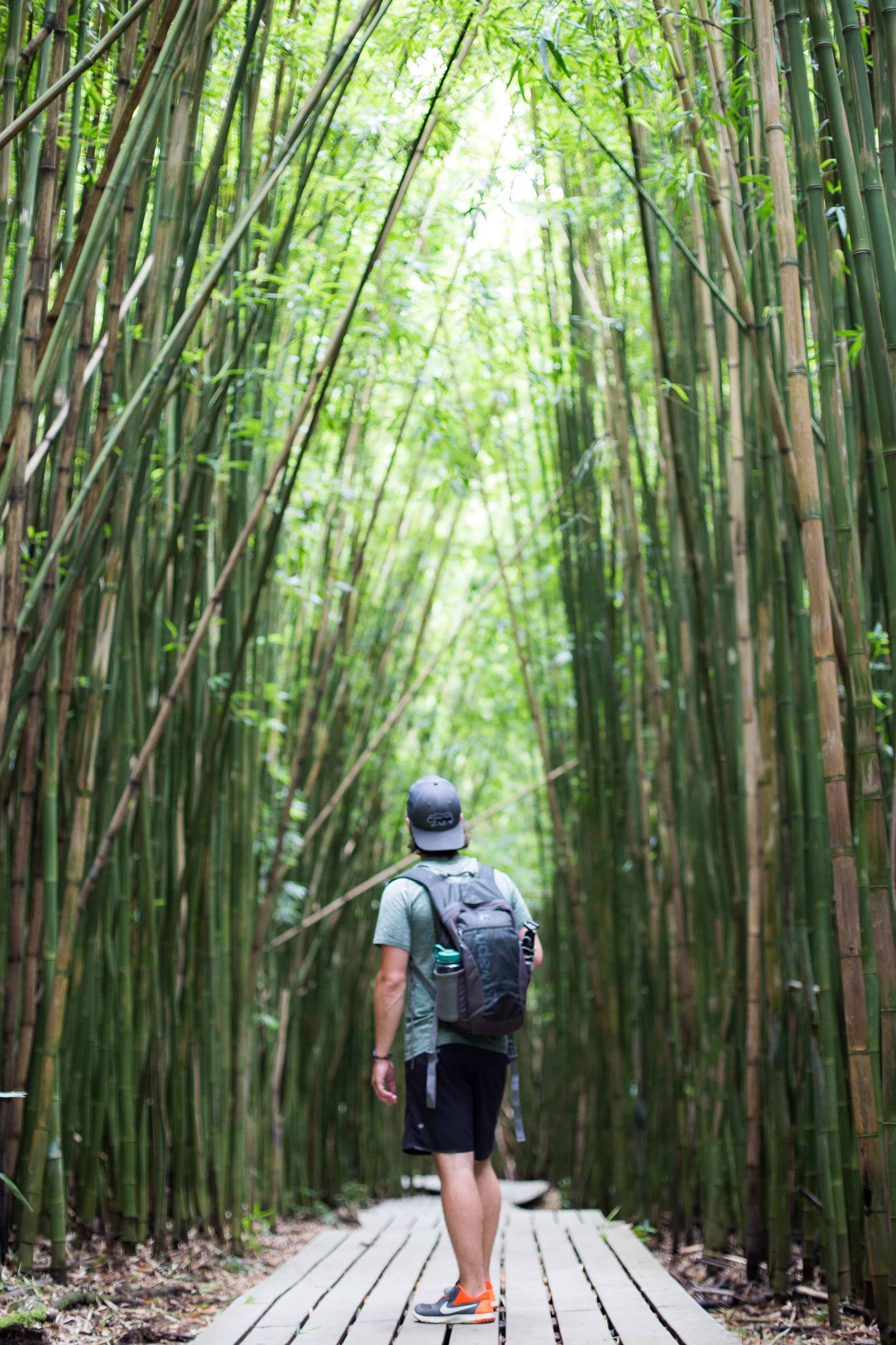 Pipiwai trail