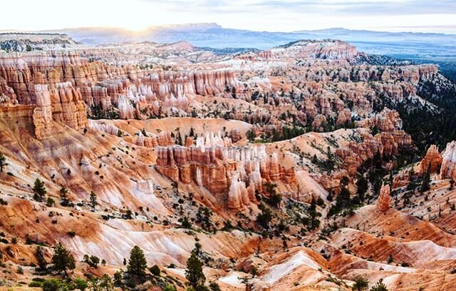 Some things are worth waking up at 5am for☀️ like Bryce Canyon..
.
.
This place is soooo cool. Riley teaches me about all of the different locations because I don&rsquo;t read any of the info, I just run to the edge of the canyons and start taking pi